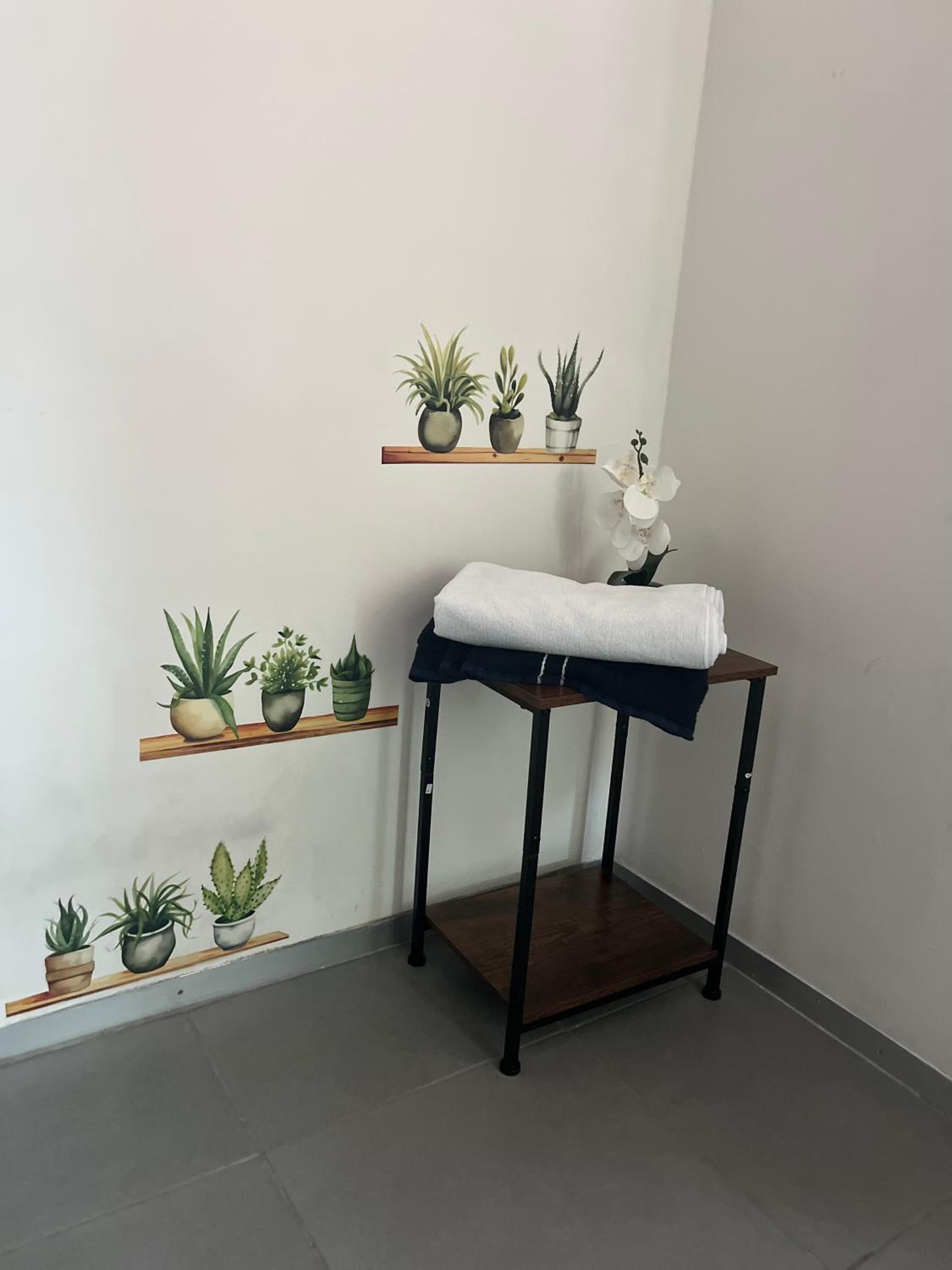 Santa Ana FLAT
