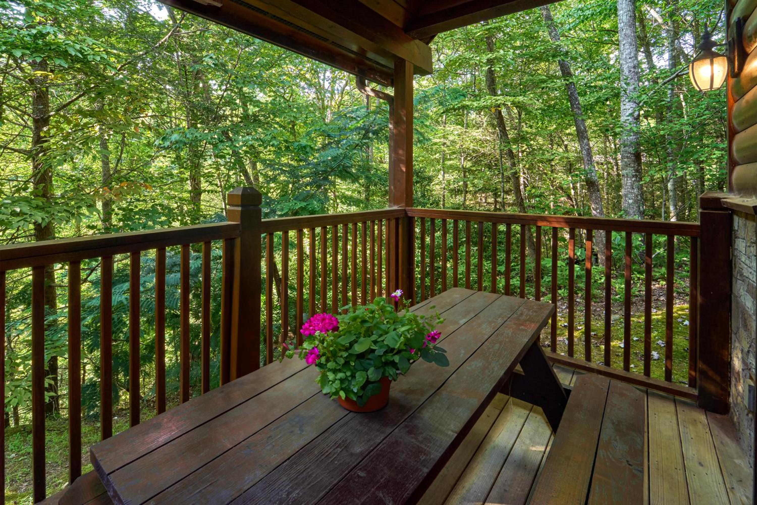 Firefly Lodge
