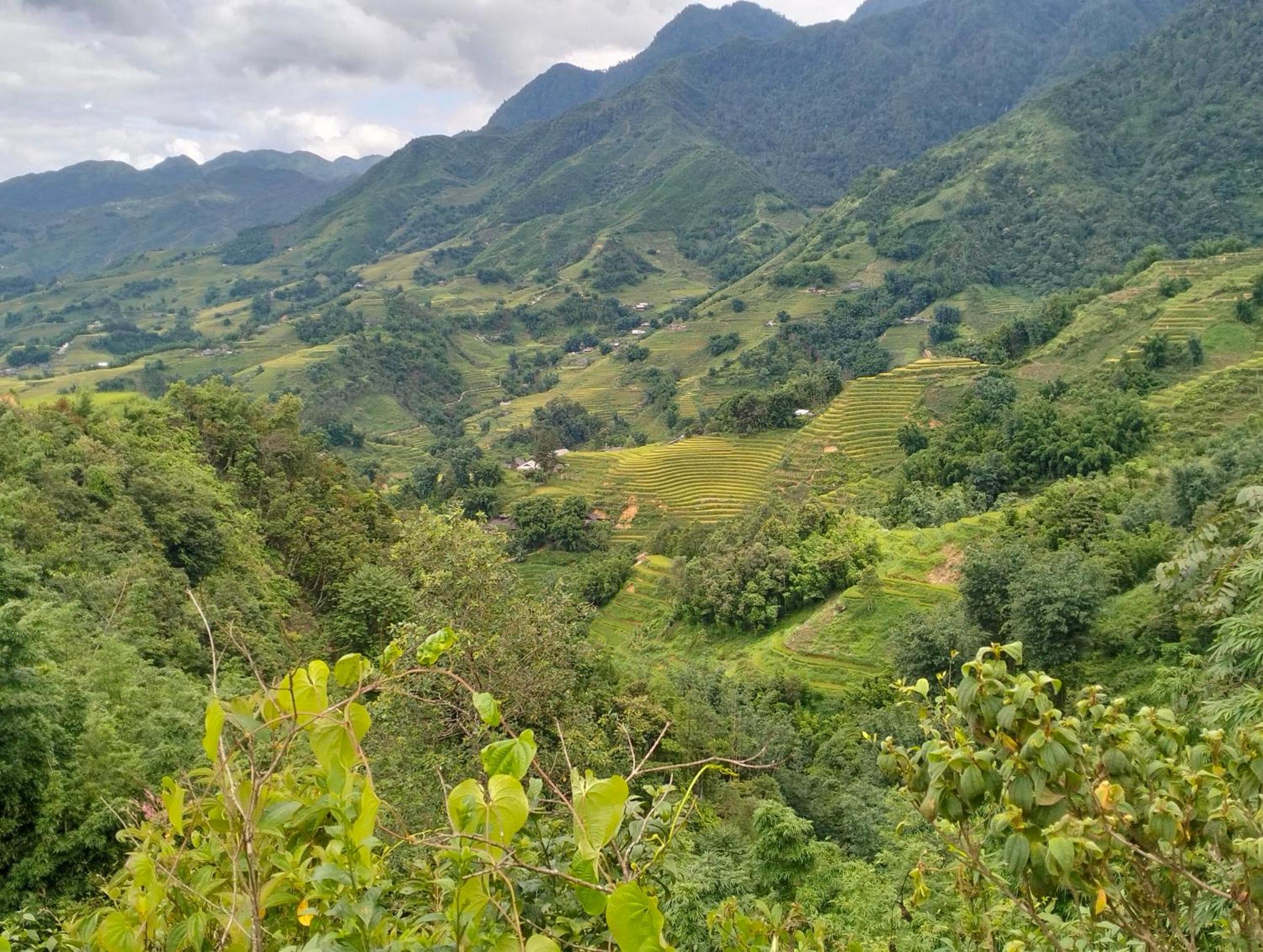 Zoo si homestay view 3