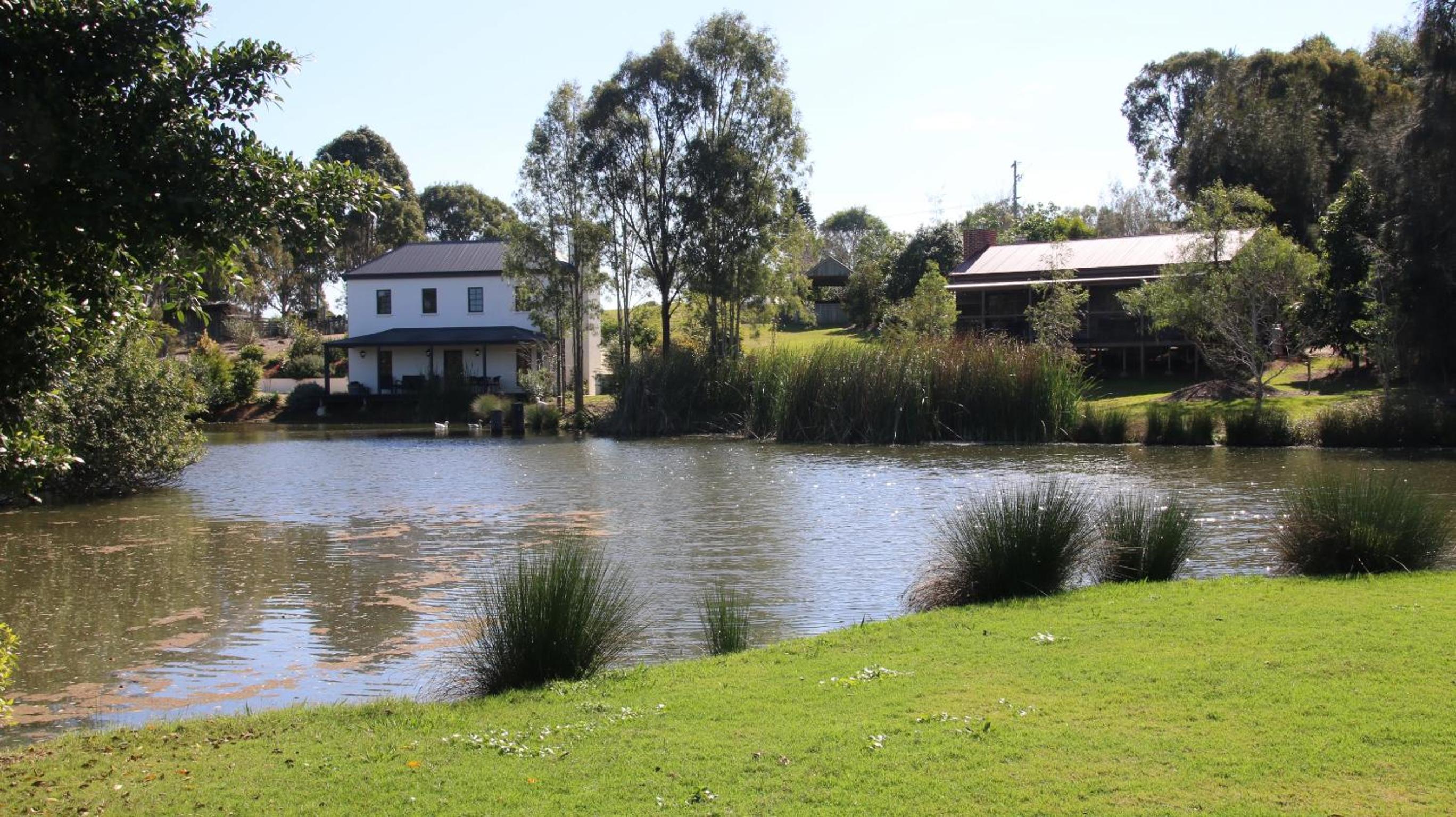 Dusty Hill Vineyard - Moffatdale