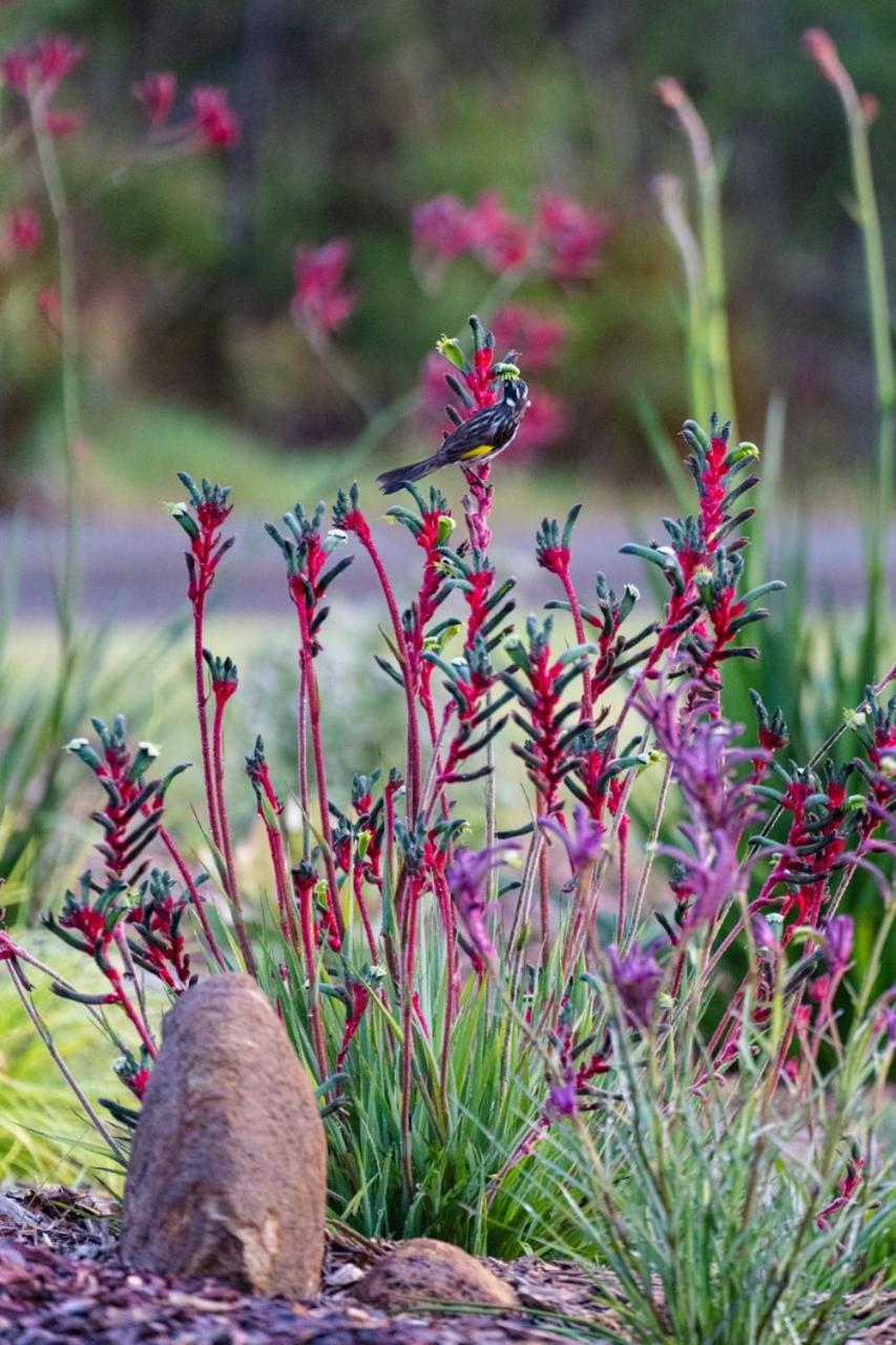 Love - Denmark WA