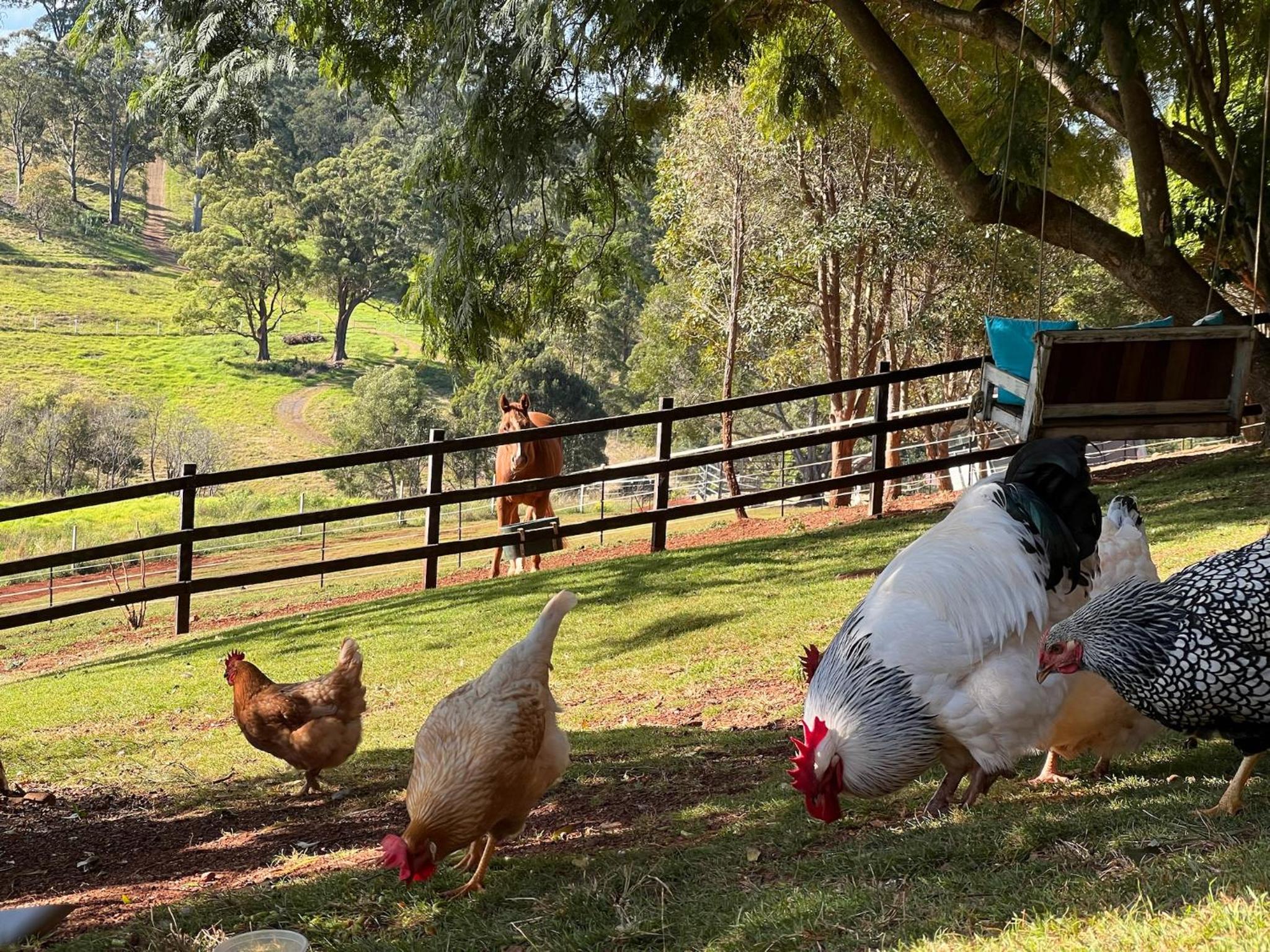 Doomben Ridge Farm House