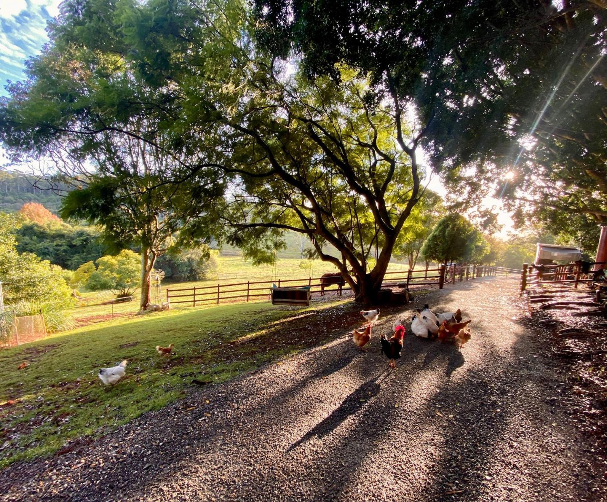 Doomben Ridge Farm House