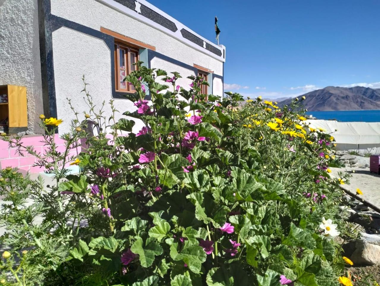 yokma Homestay Ladakh by LexStays view 3
