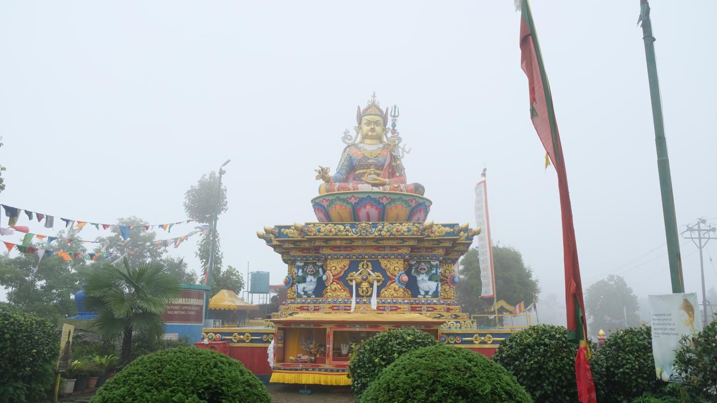 Photo 44