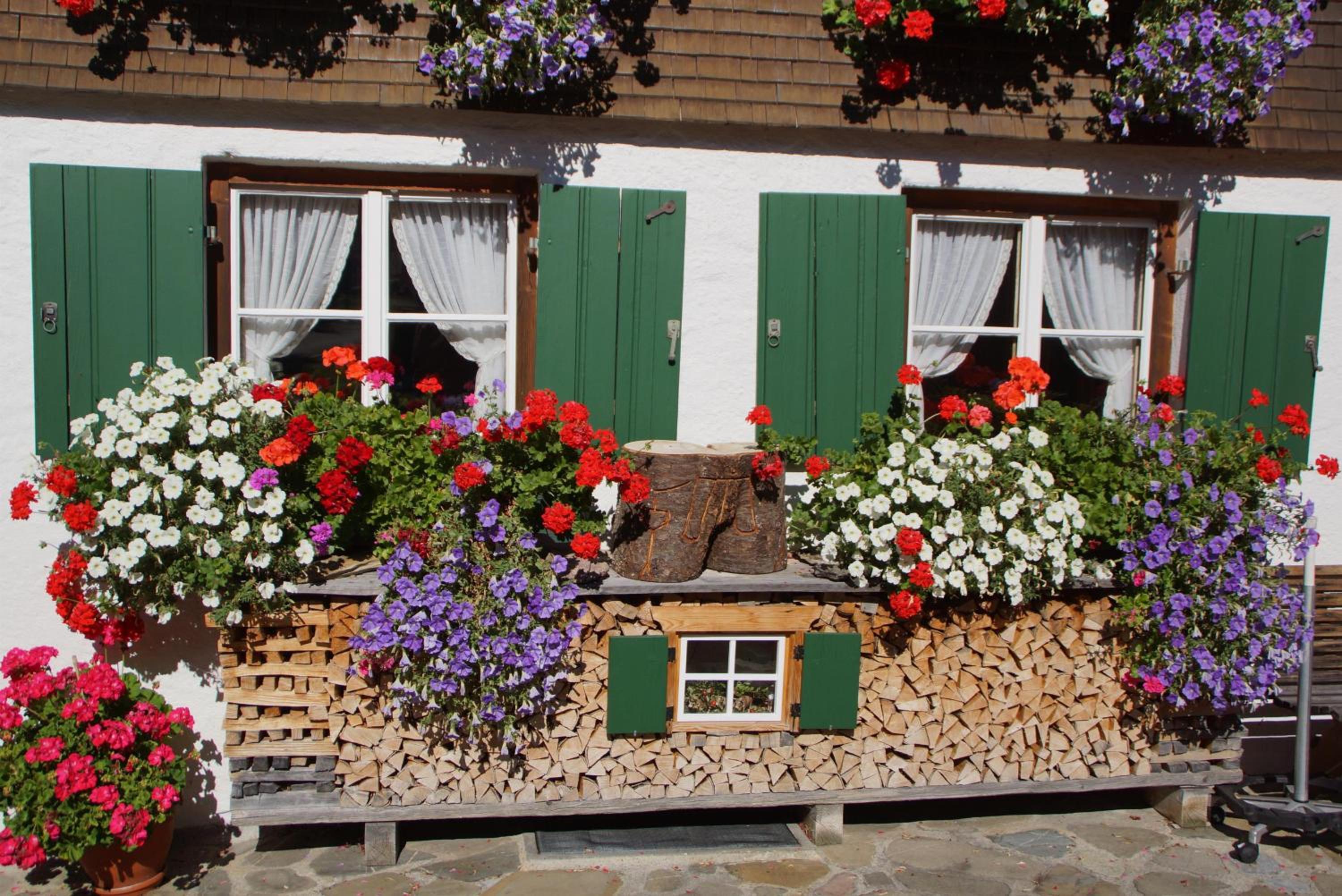 Ferienwohnung Milz
