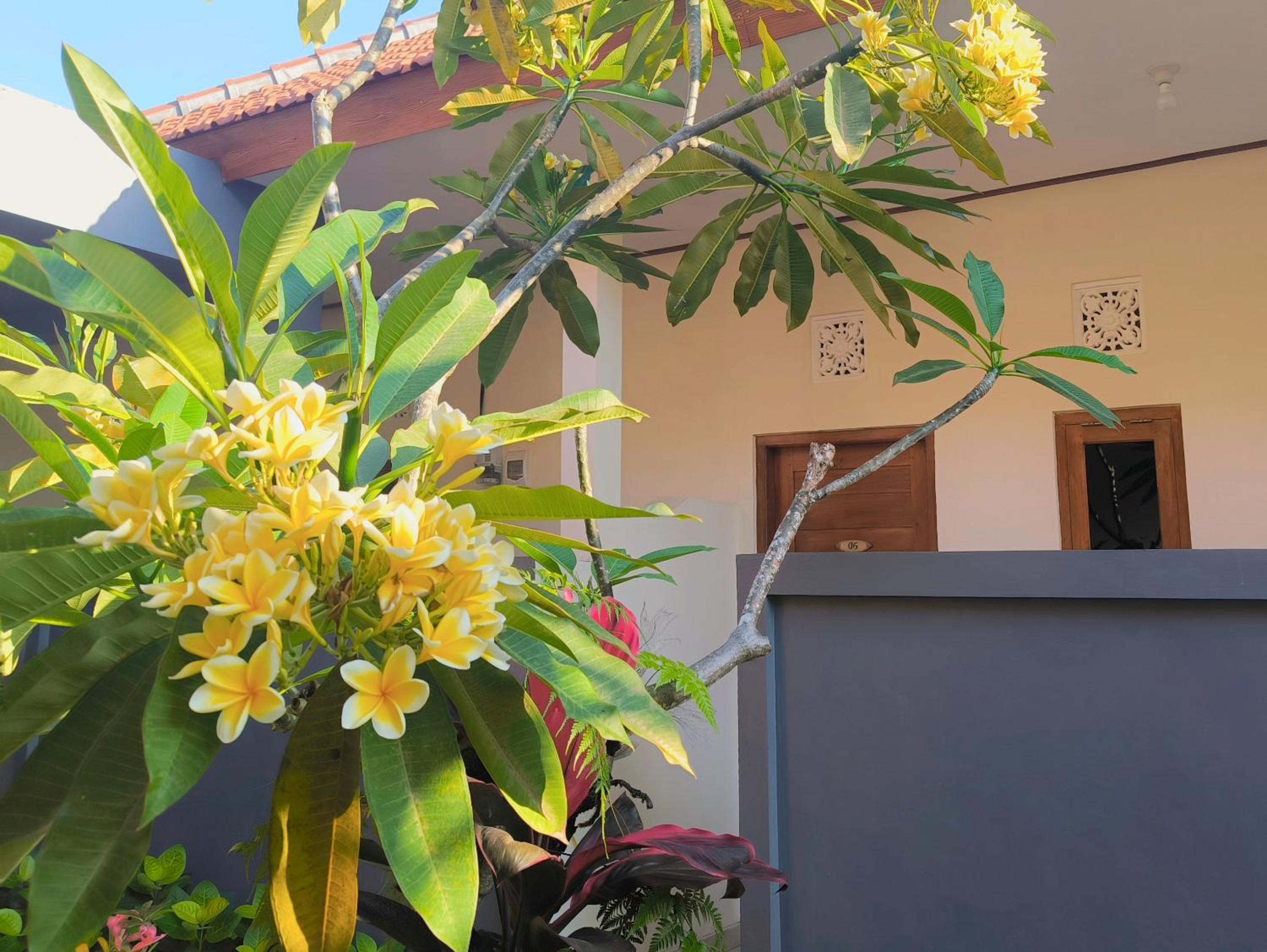 Guest House 88 Pandawa view 2