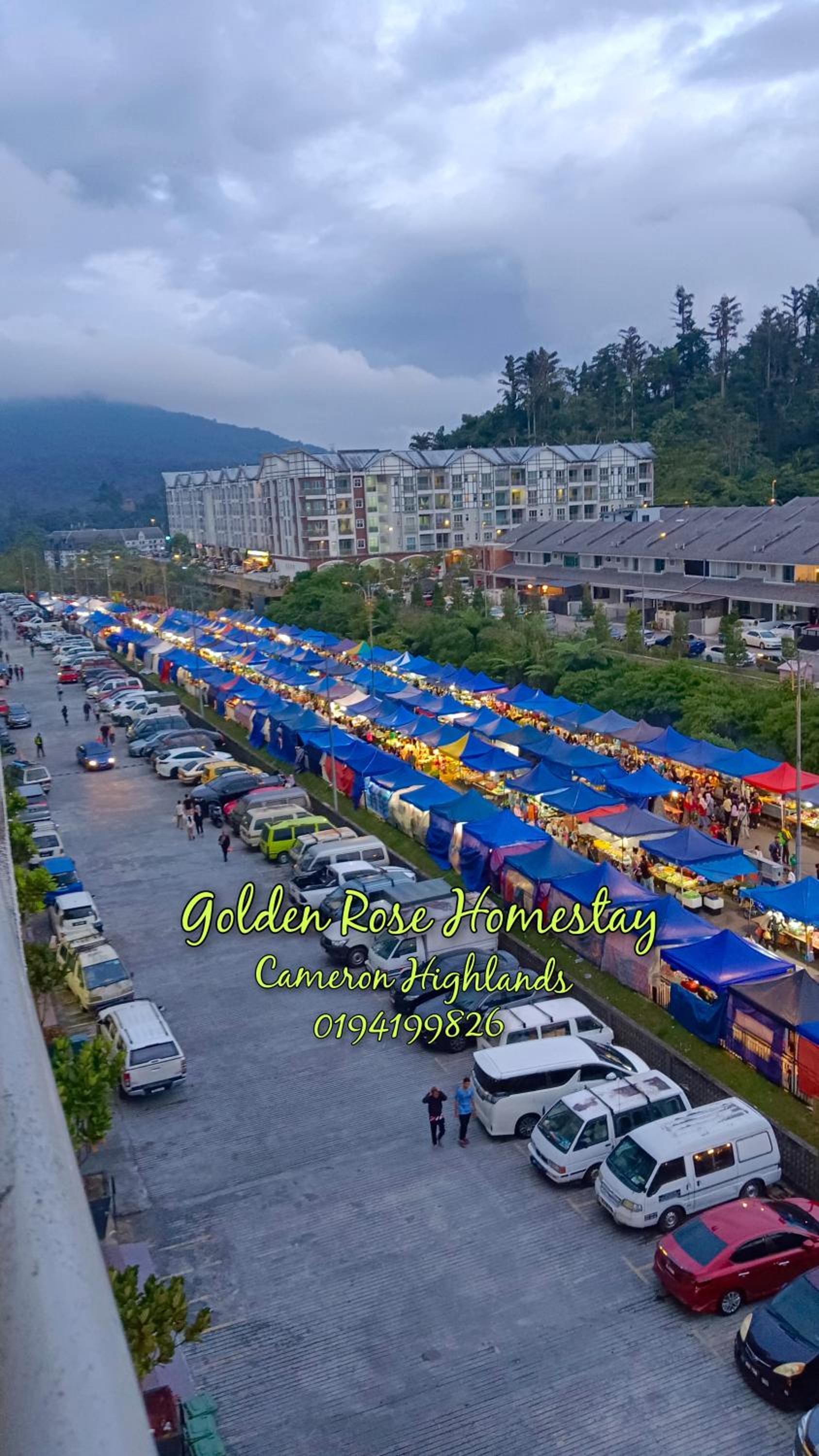 Golden Rose Homestay Cameron Highlands photo 5