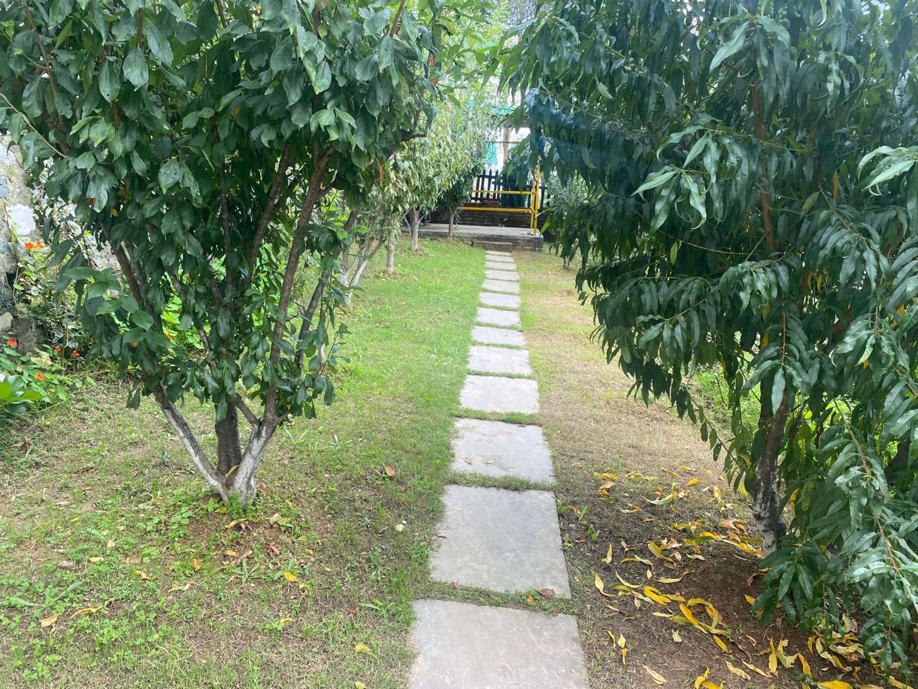 Photo 8