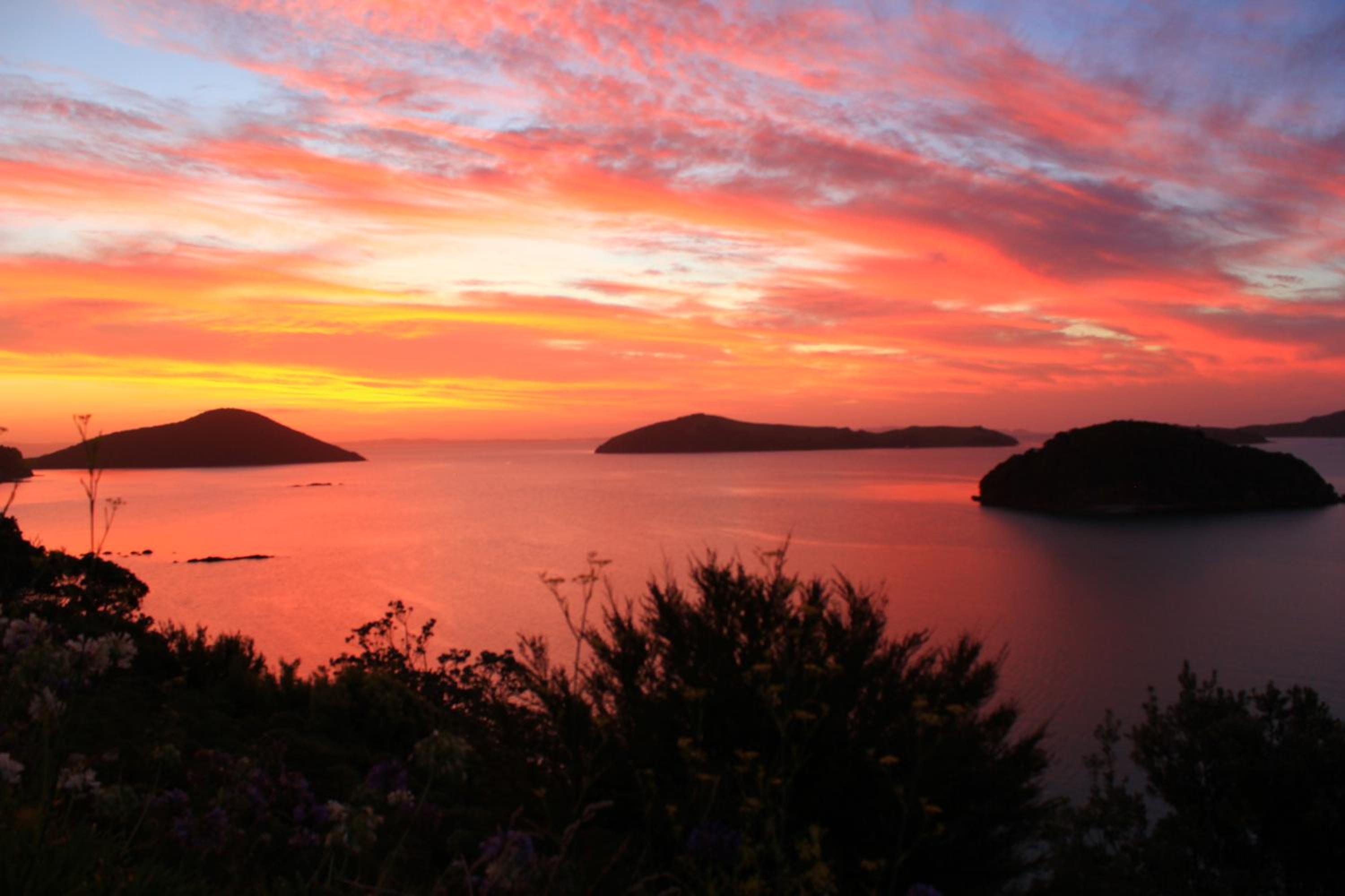 Coromandel Cottages