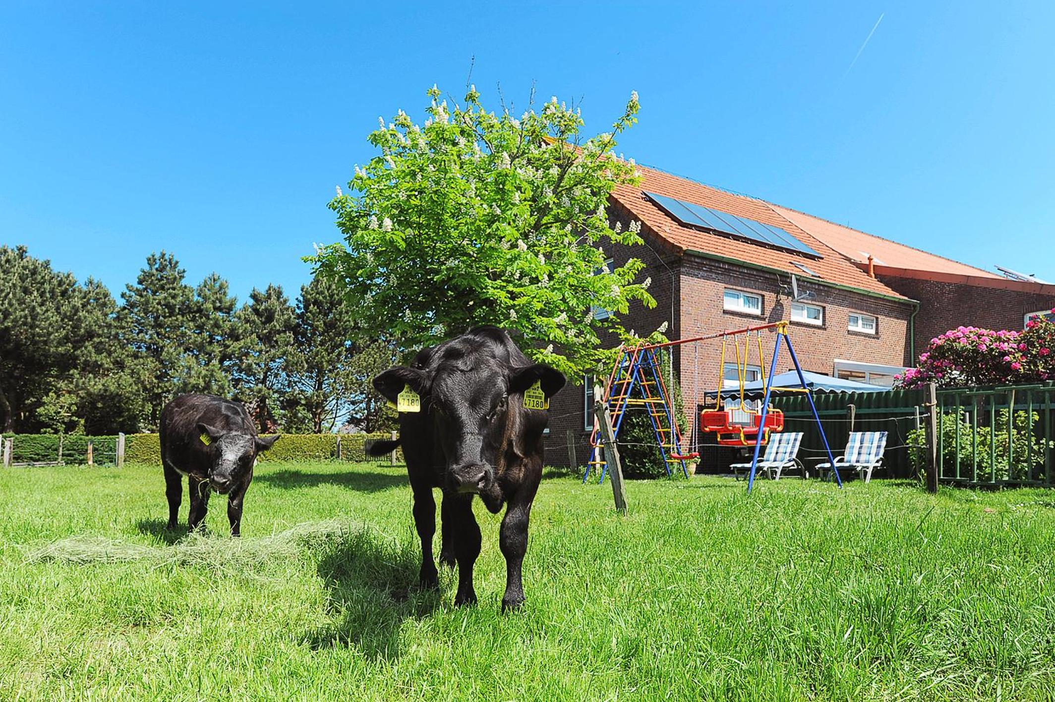 Ferienwohnung auf dem Ferienhof Janssen