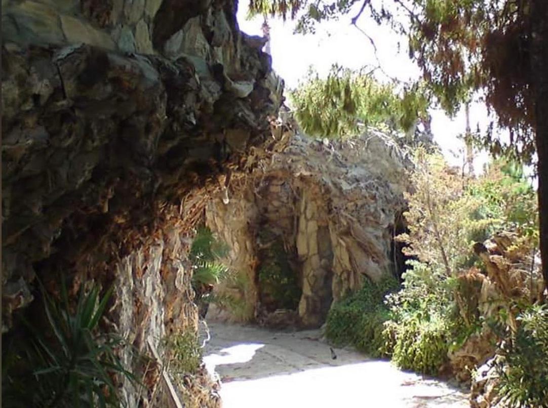 Photo 25