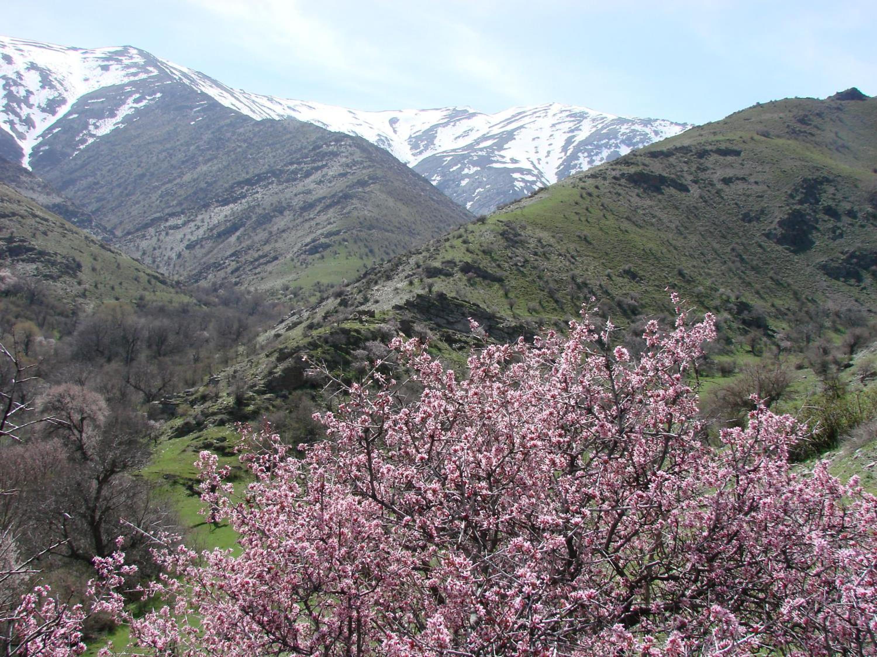 NURATA MOUNTAIN GUESTHOUSE Shiringul