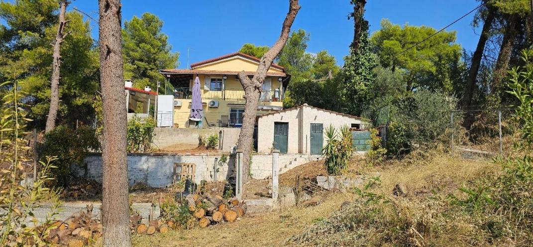 Villa Antonis