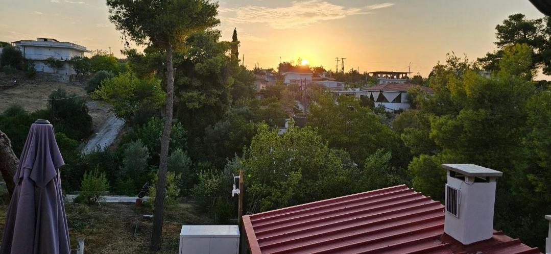 Villa Antonis