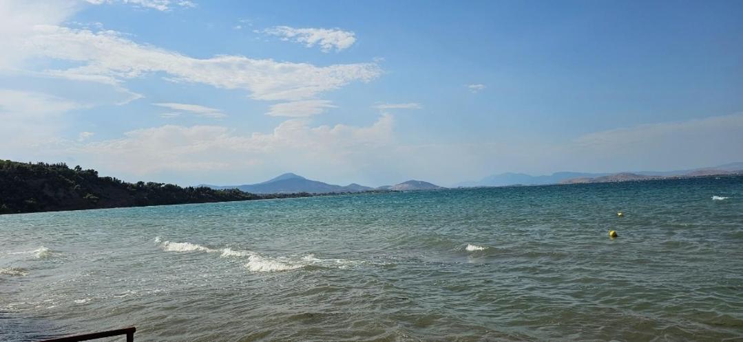Villa Antonis