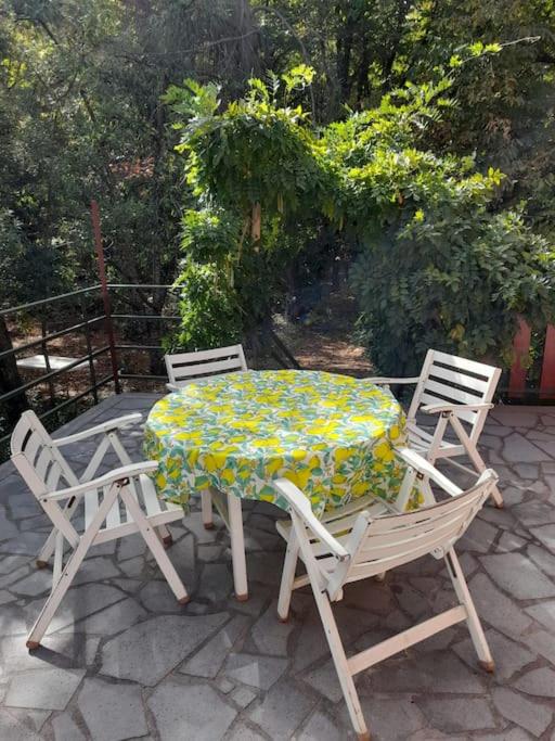 Villa nel bosco - Etna