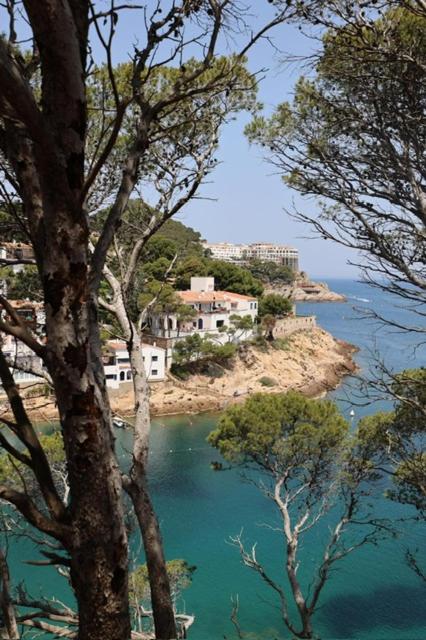 Apartament SUITES vista mar Sa Tuna
