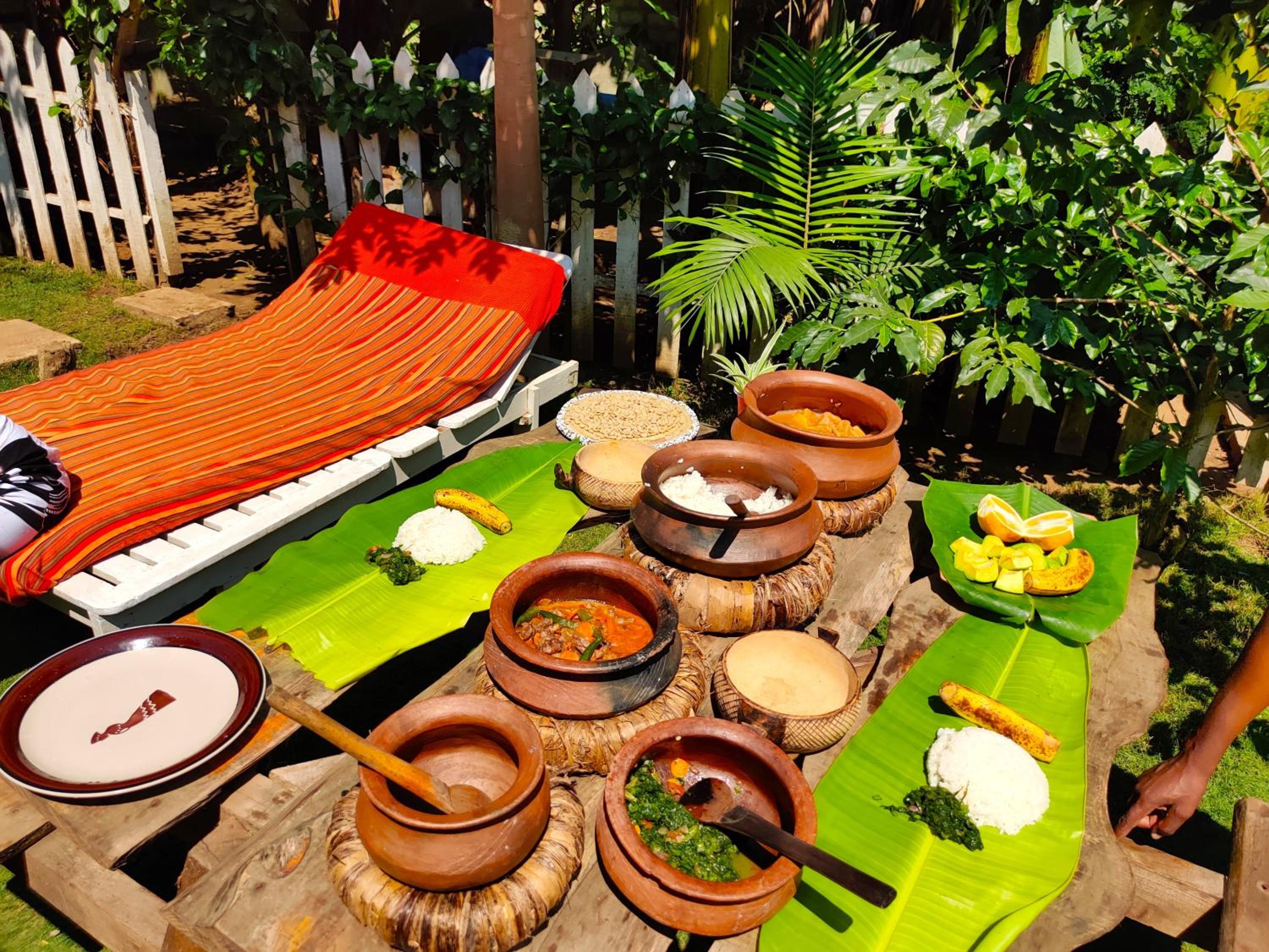 Arusha Jua Eco Home- on coffee farm view 3