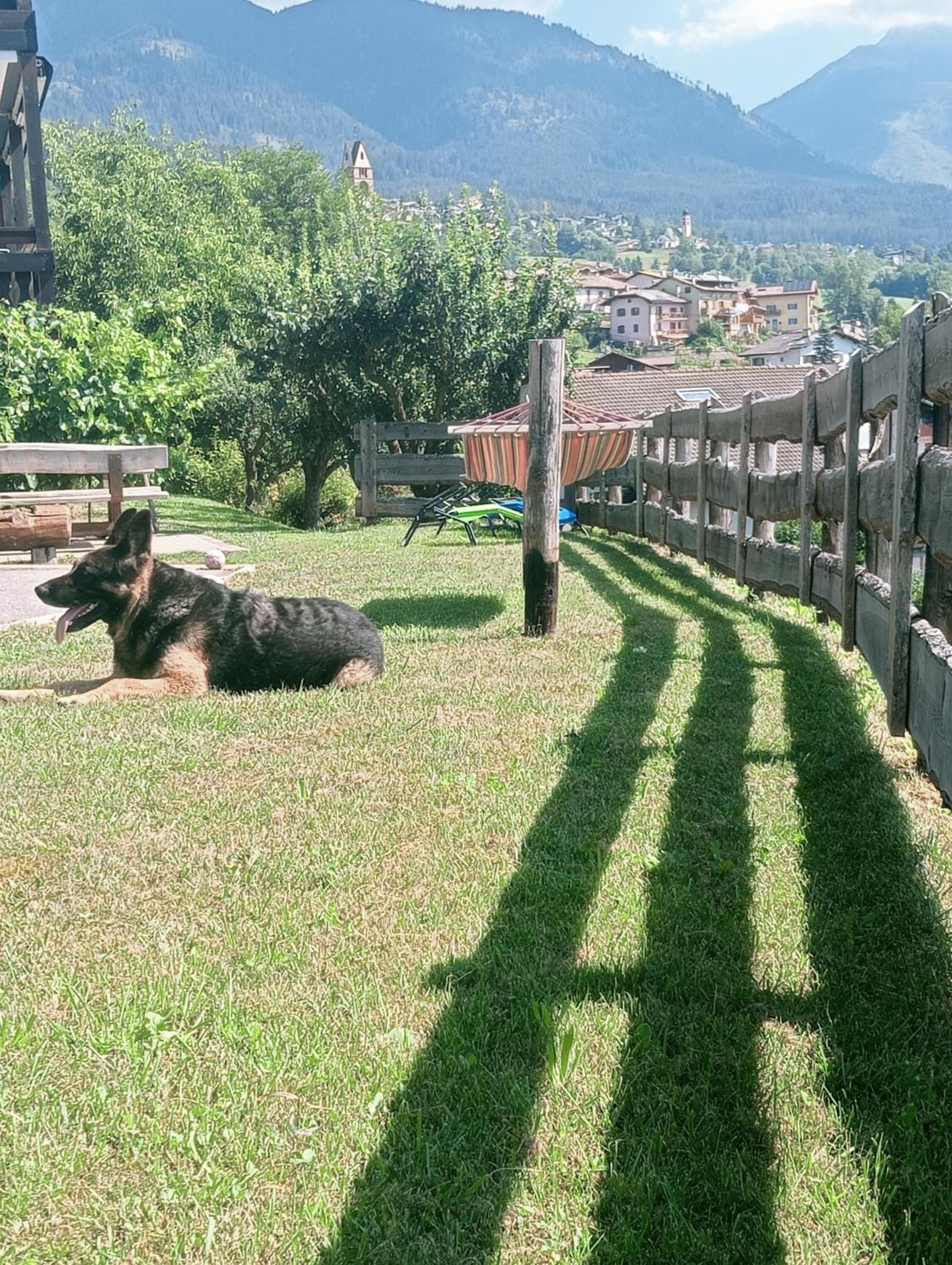 Photo 51