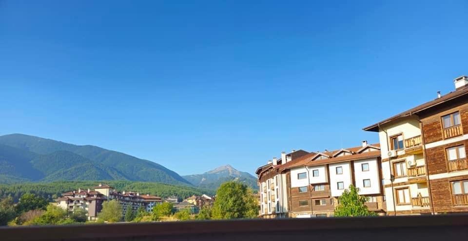Bansko Vacations - Anna Lux - Property Image 4