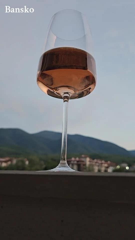 Bansko Vacations - Anna Lux - Property Image 3