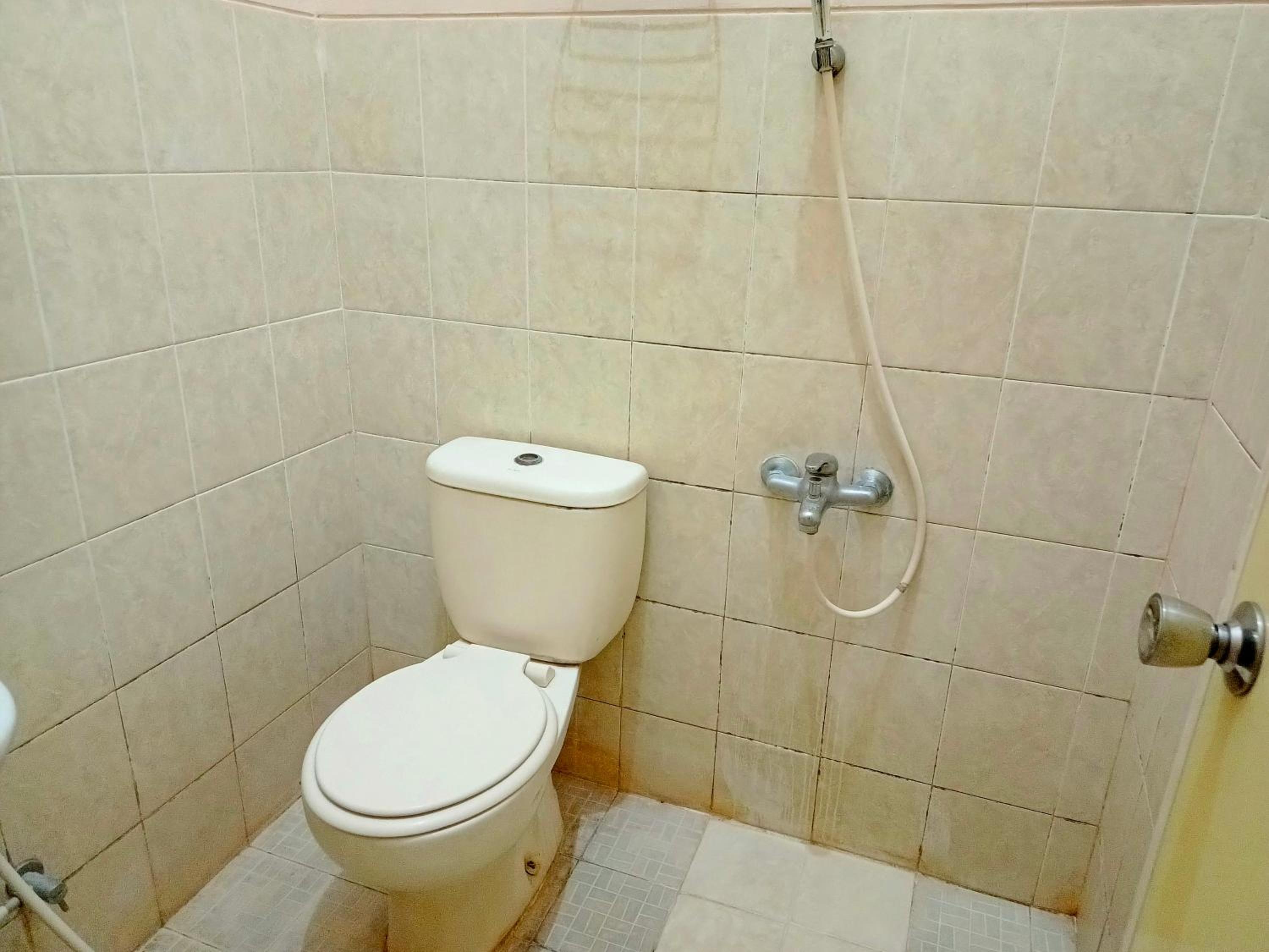 Photo 42
