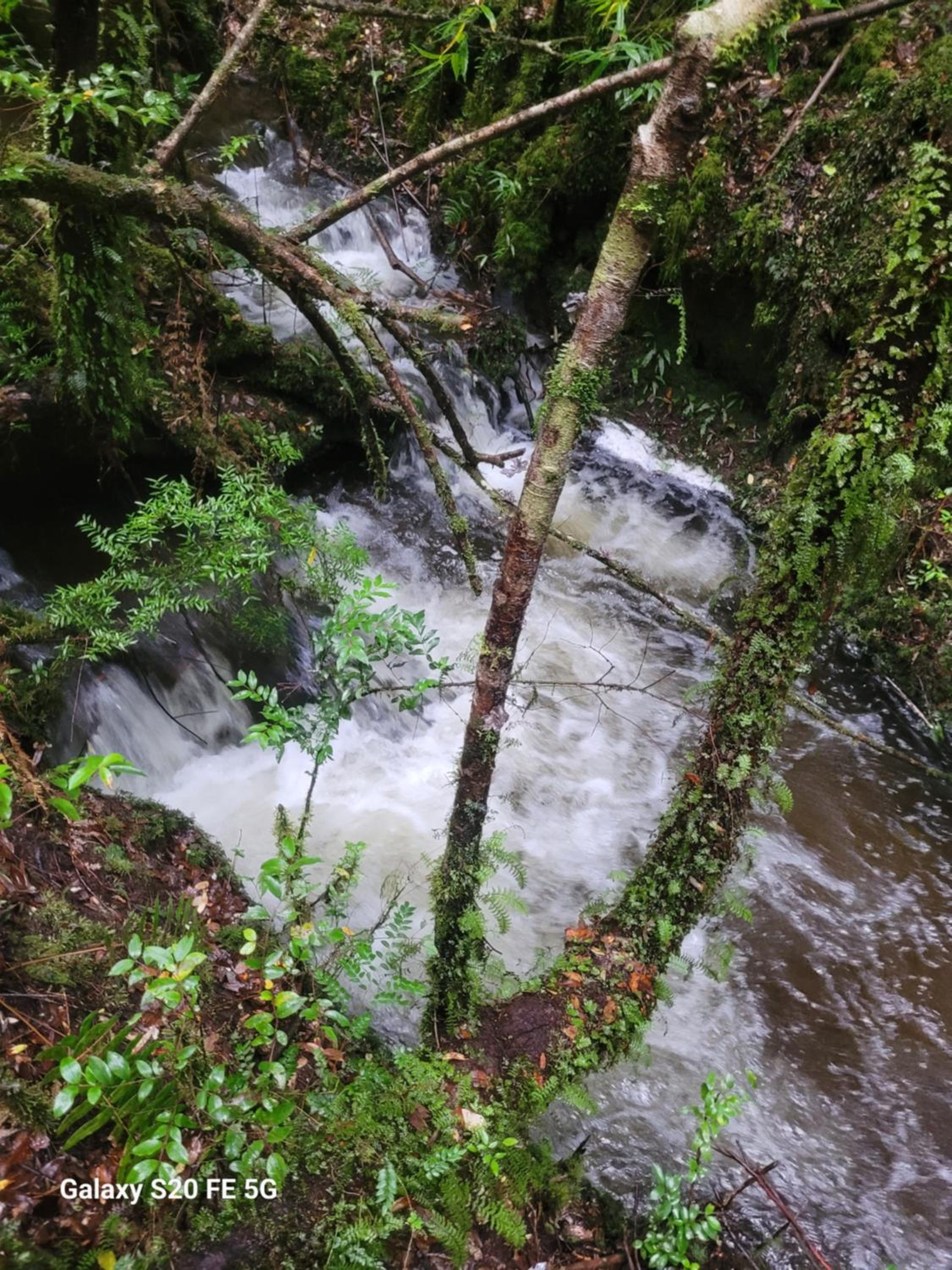 Cabañas el Farolito