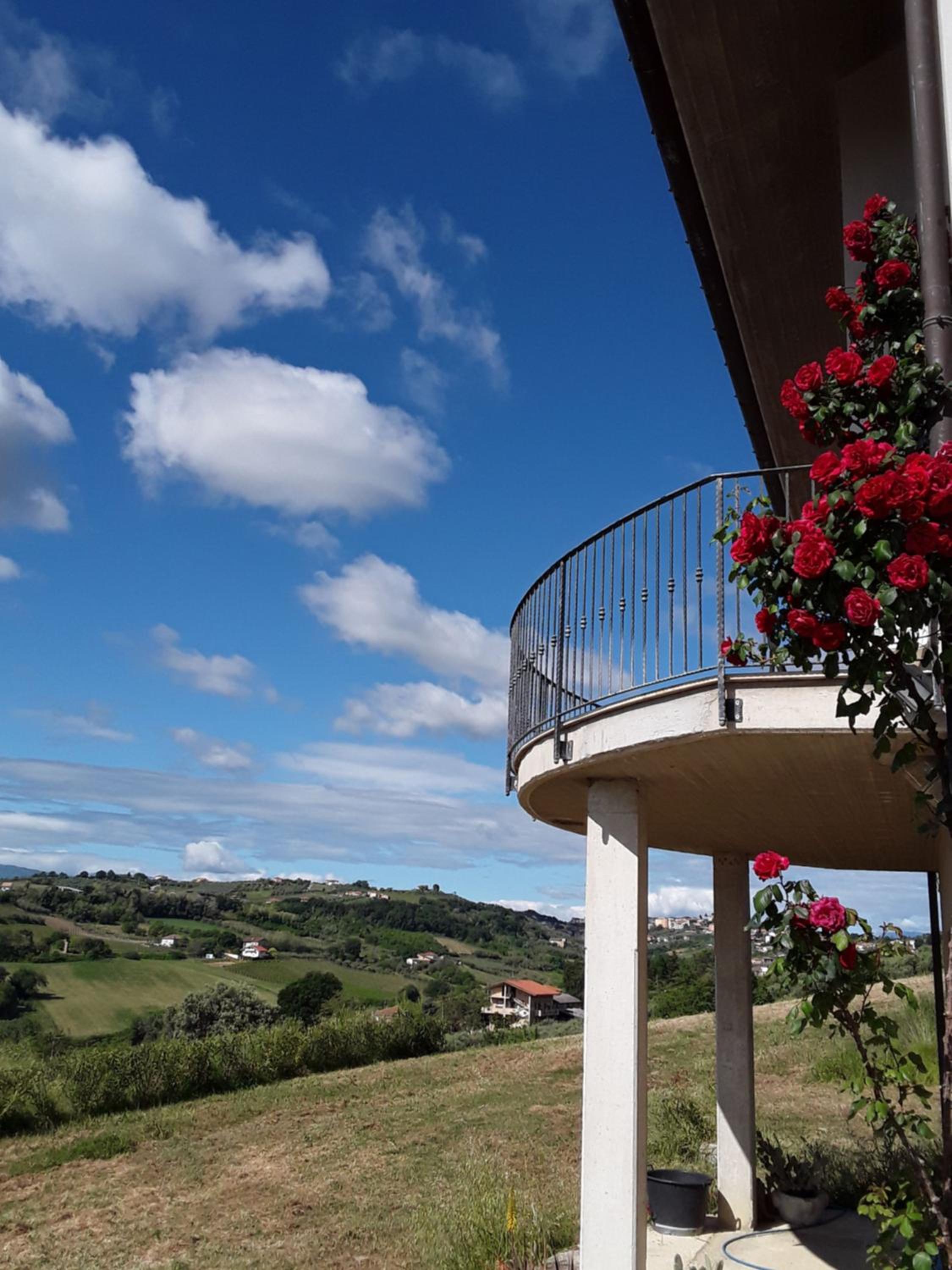 Tenuta Ornella