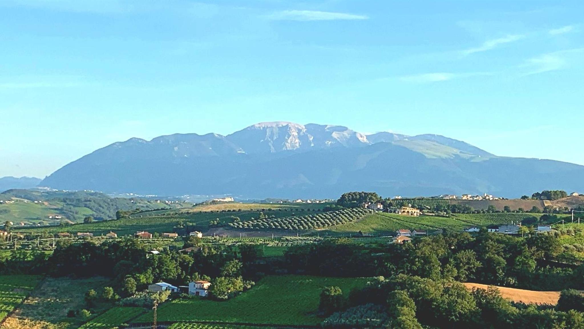 Tenuta Ornella