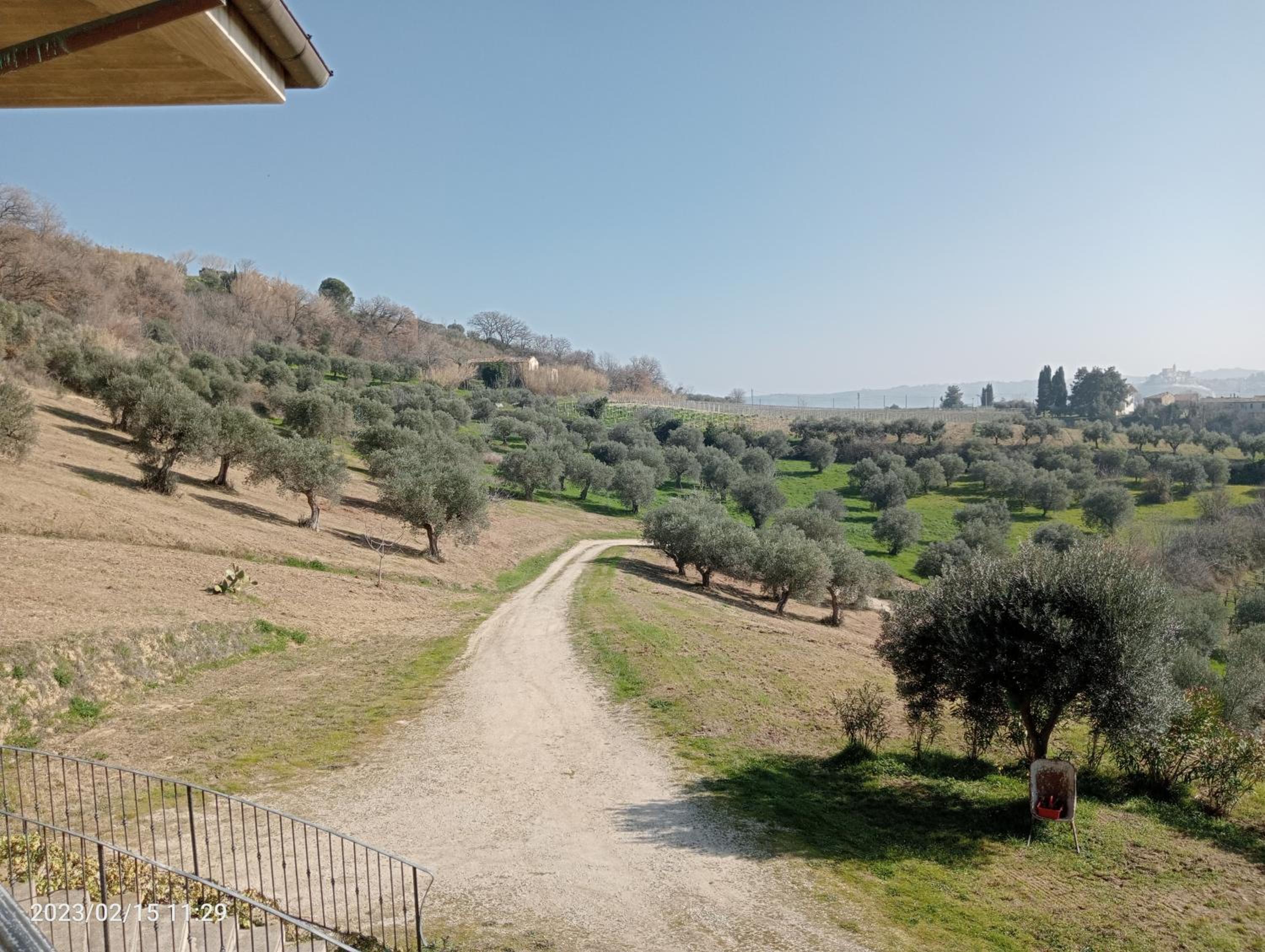Tenuta Ornella