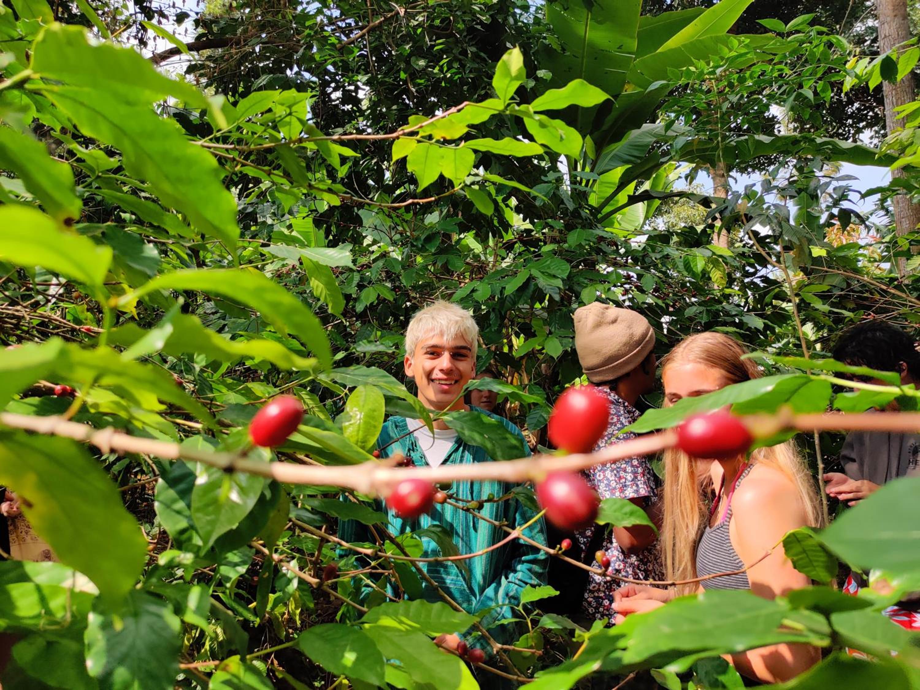 Arusha Jua Eco Home- on coffee farm view 4