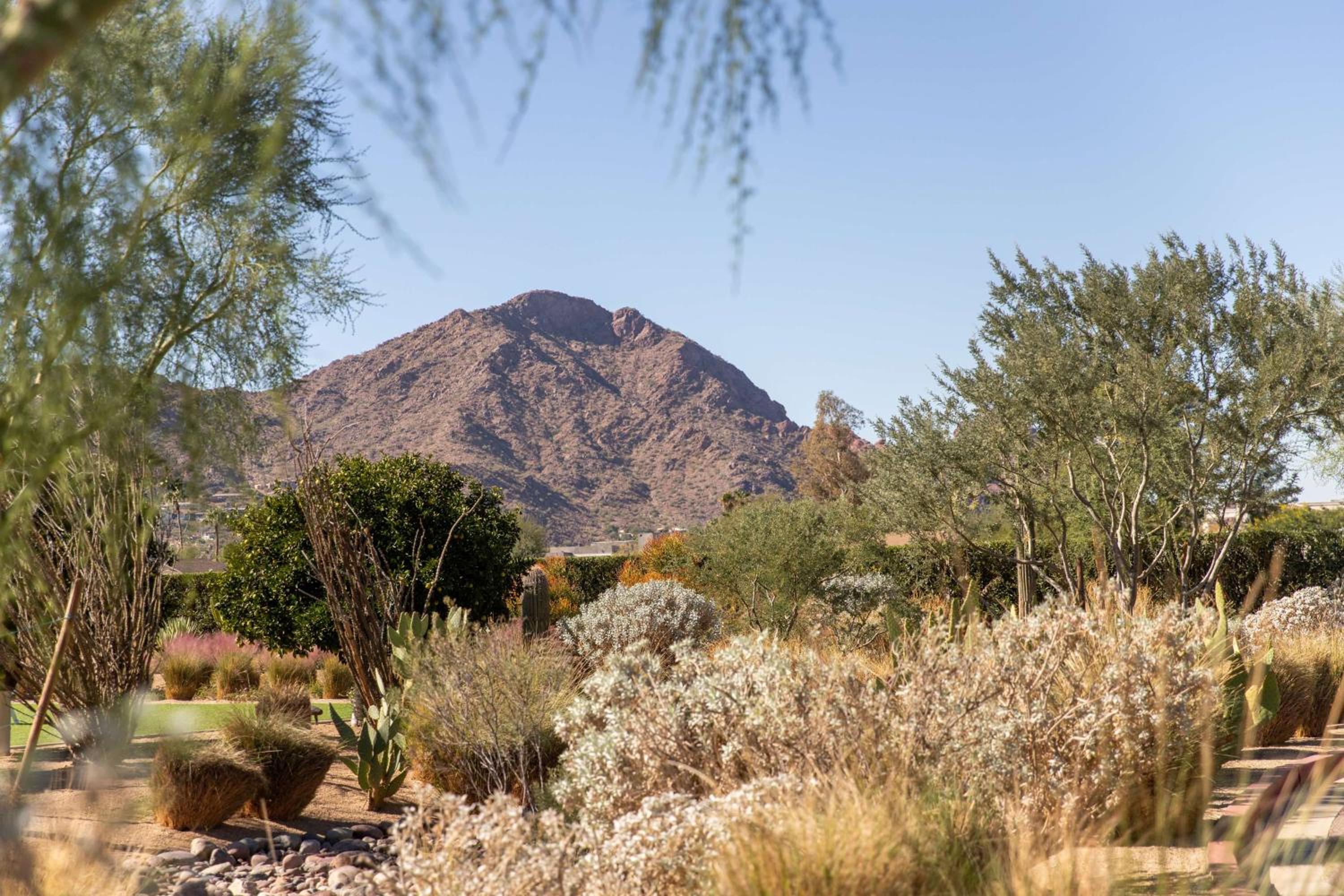 Andaz Scottsdale Resort & Bungalows