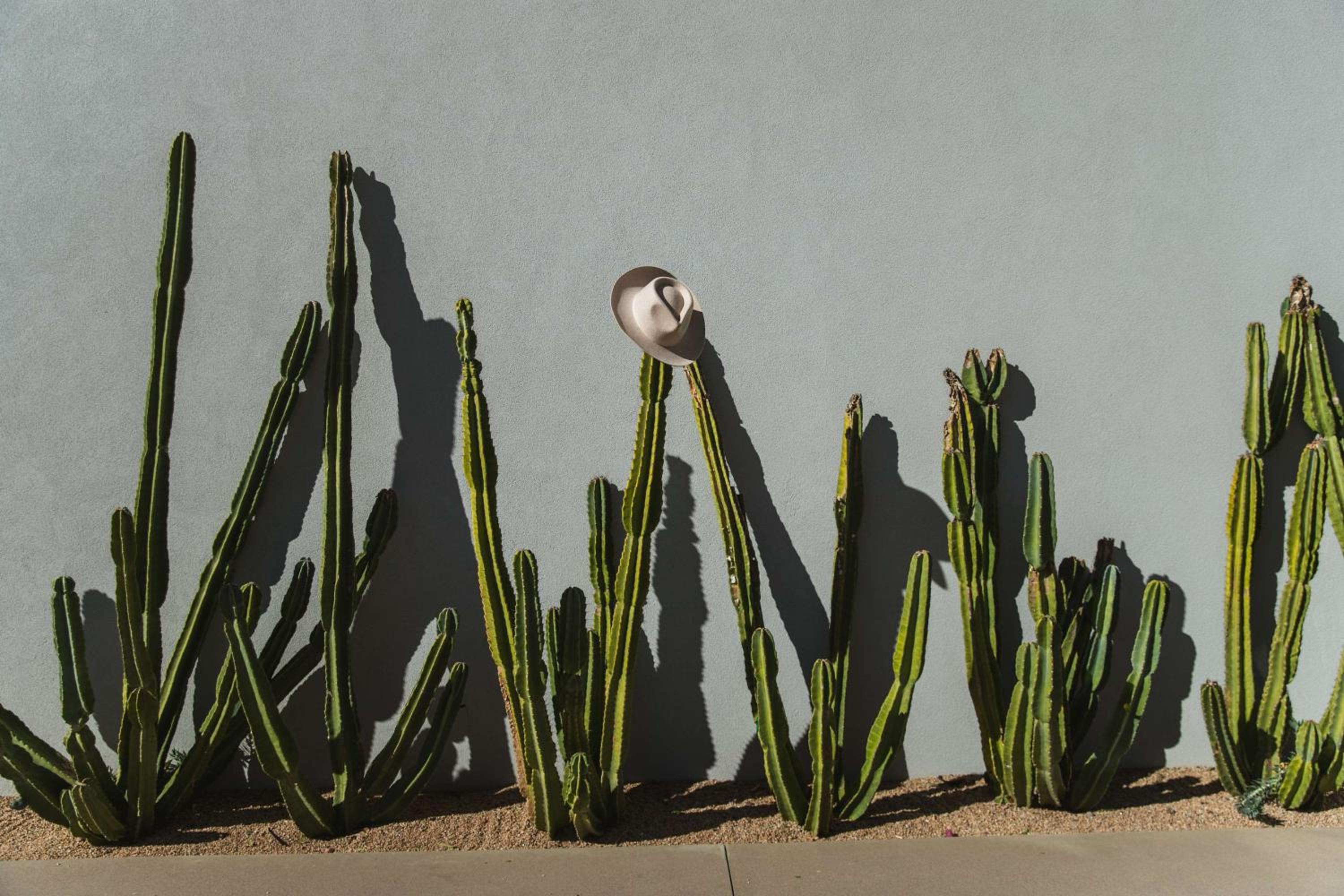 Andaz Scottsdale Resort & Bungalows