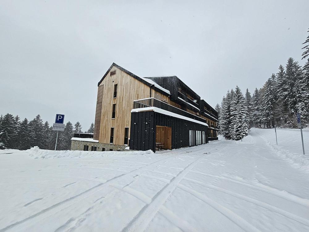 DeLuxe apartmán s možností wellness Benecko 4 by AlkaTravel