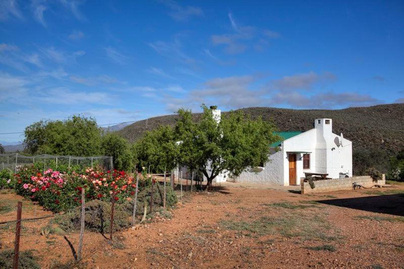 Vaalwater Lodge & Bush Camp view 4