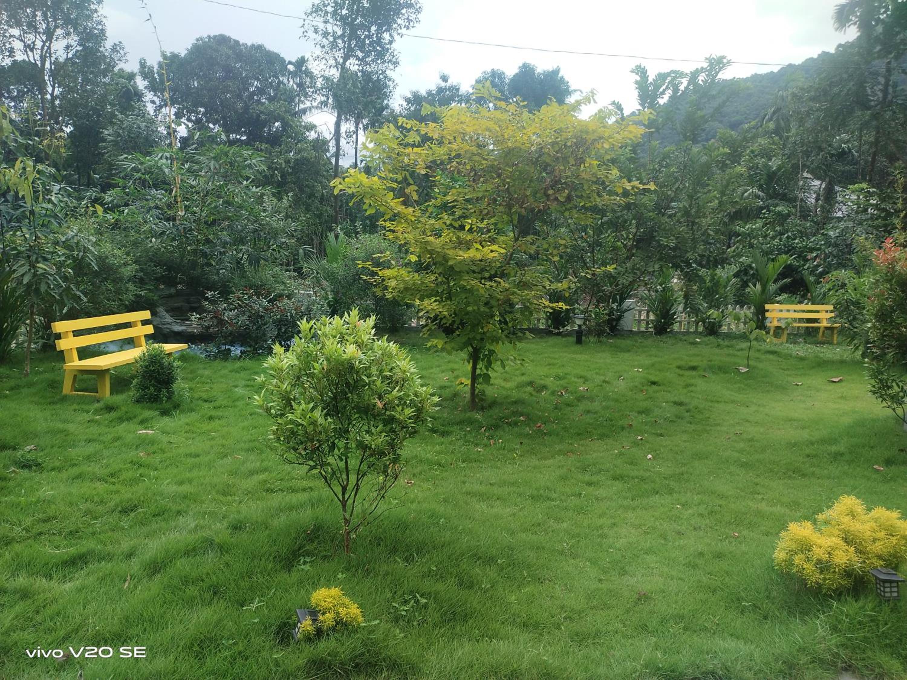 Merlys Fruit Garden