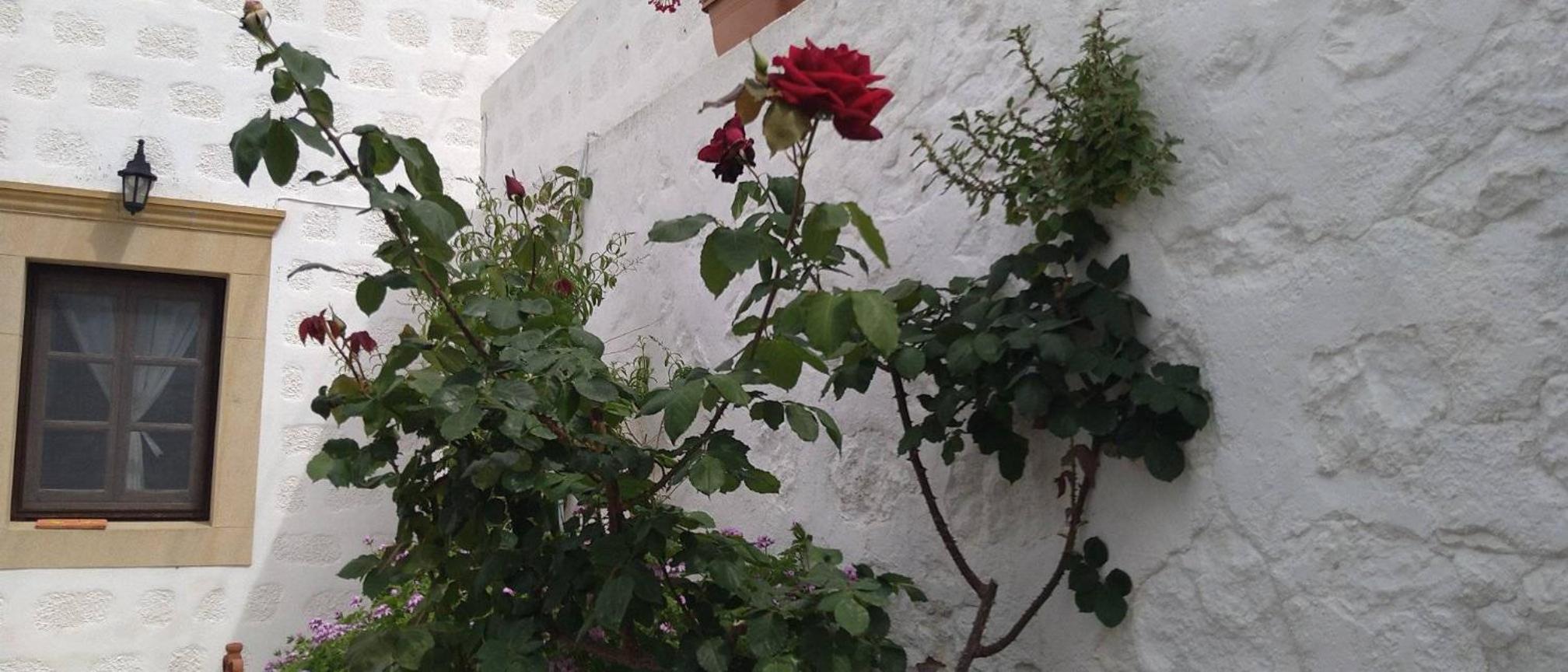 Photo 31