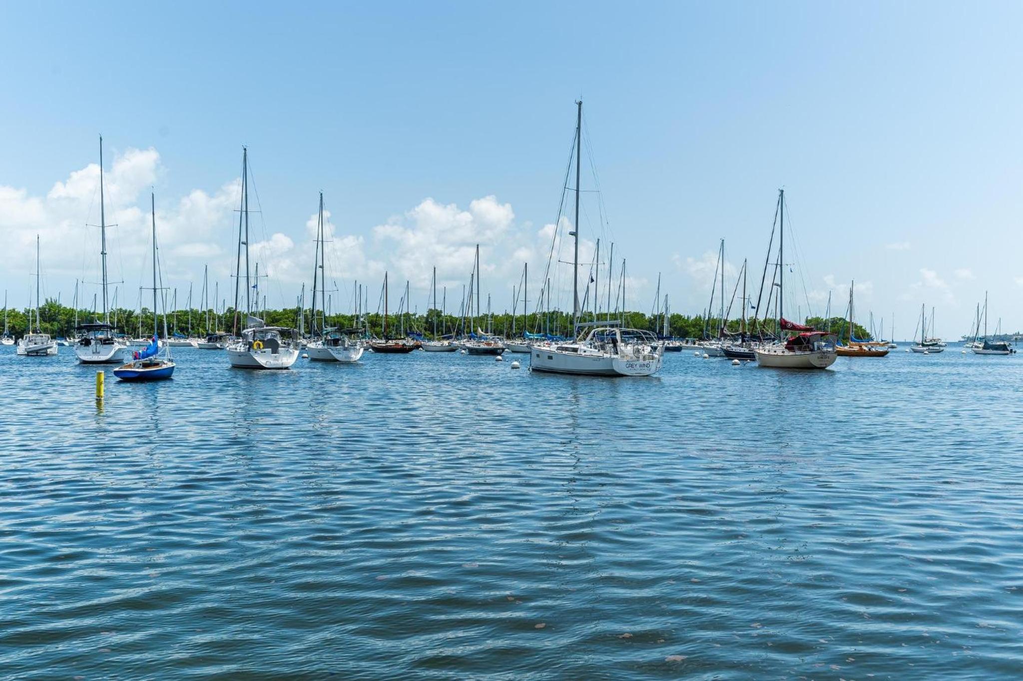 The Palms Coconut Grove 1 bedroom condo includes parking