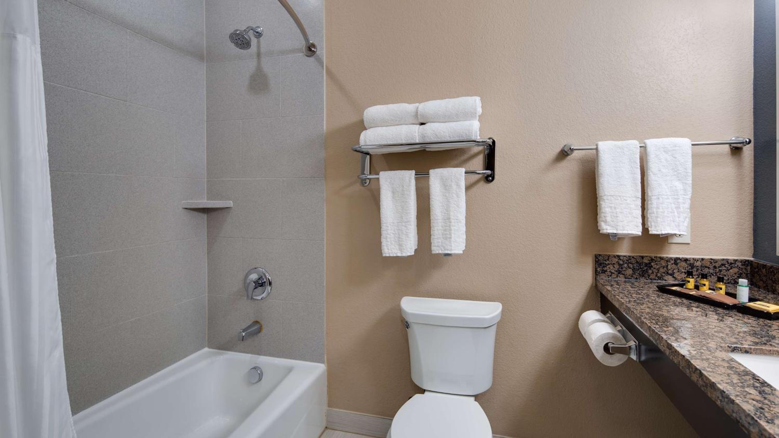 Best Western Plus Lake Jackson Inn  Suites - Property Image 6