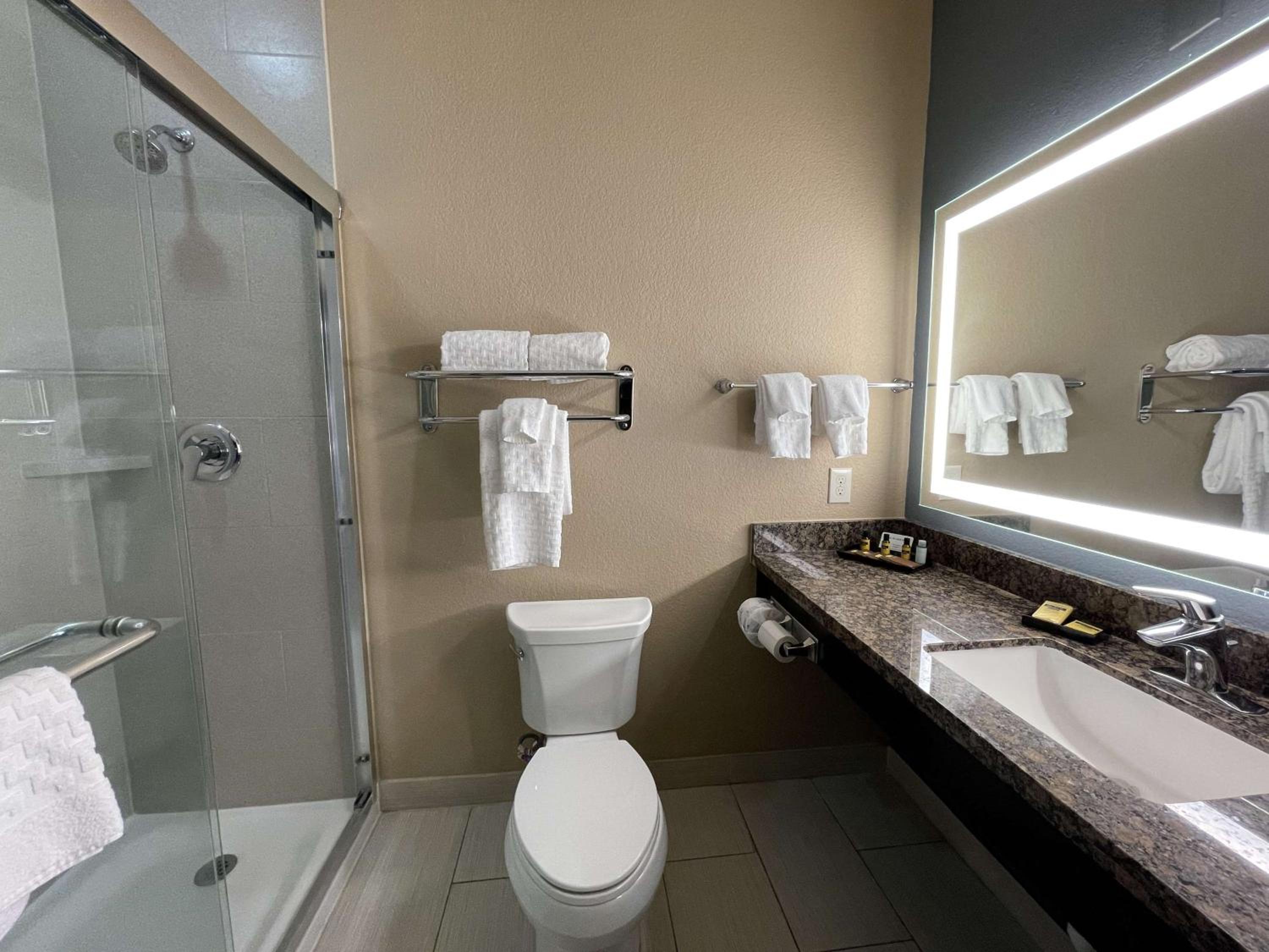 Best Western Plus Lake Jackson Inn  Suites - Property Image 7