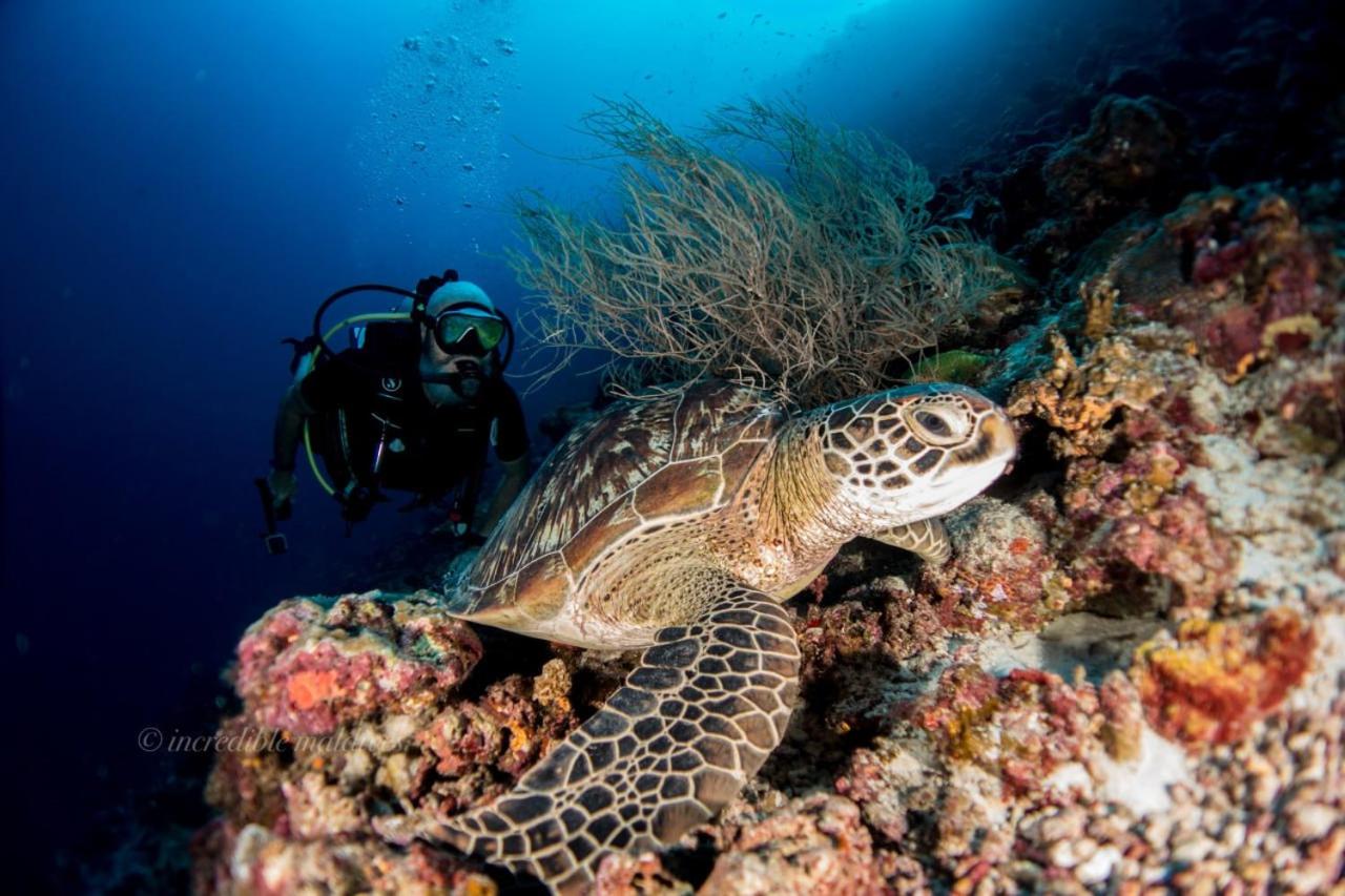 Marmora Maldives-All-inclusive guesthouse with an excursion everyday photo 2