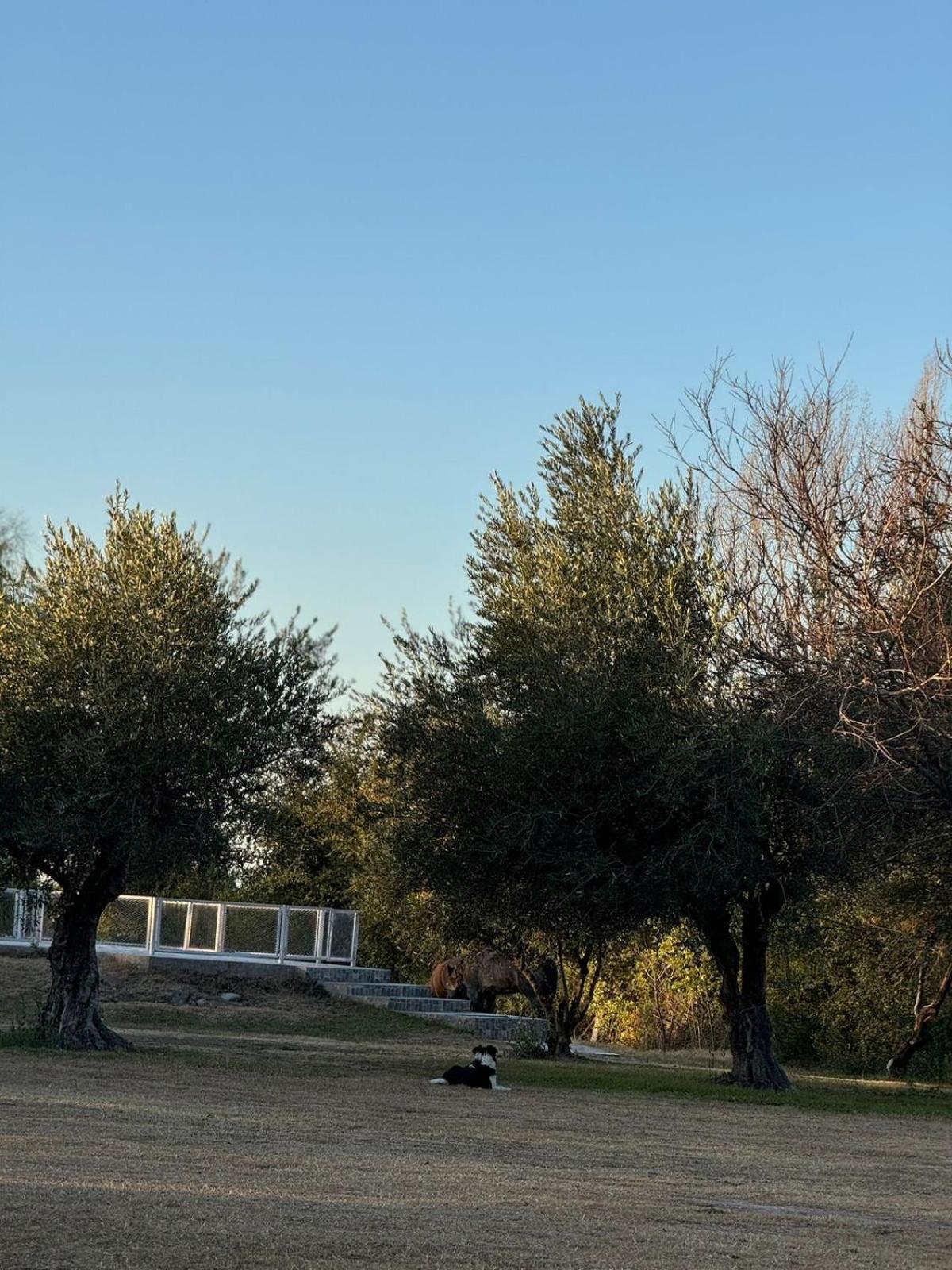 Cabañas La Cautiva