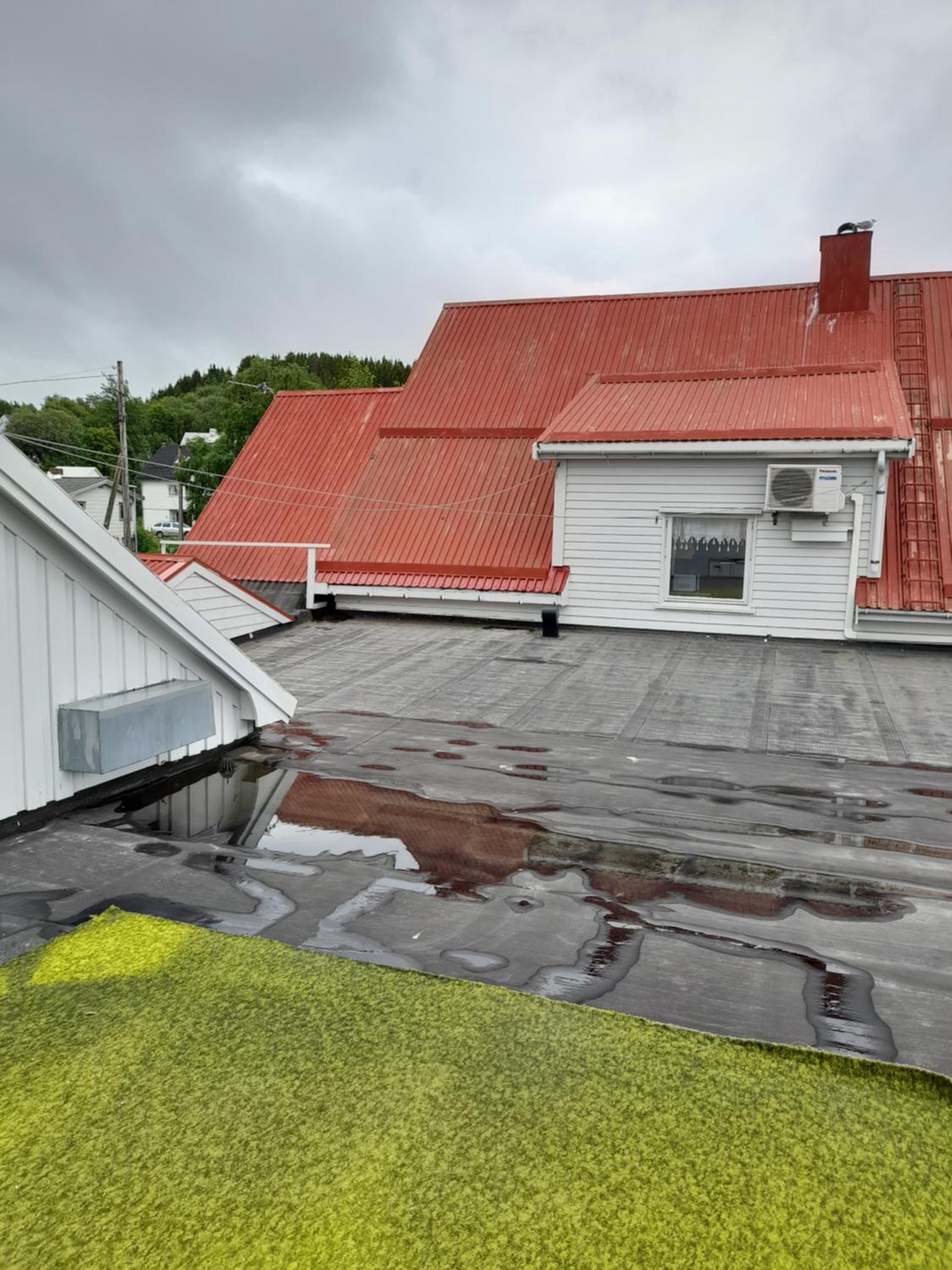 roof