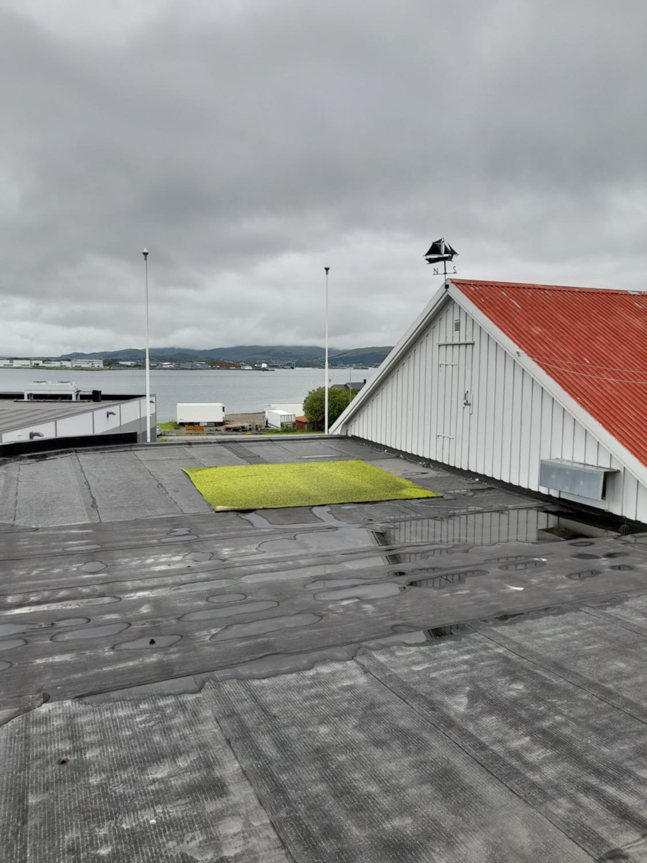 roof