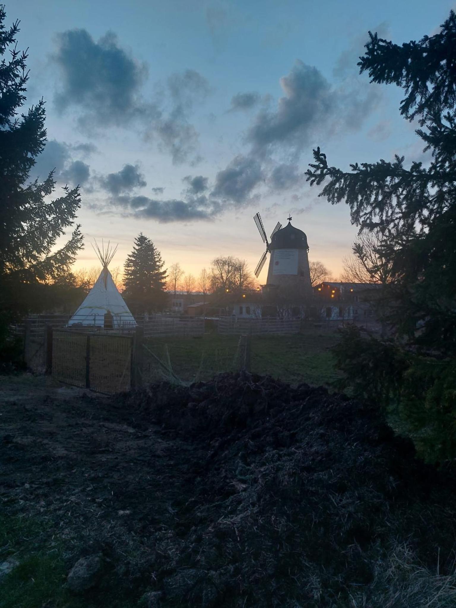 Gartenwohnung