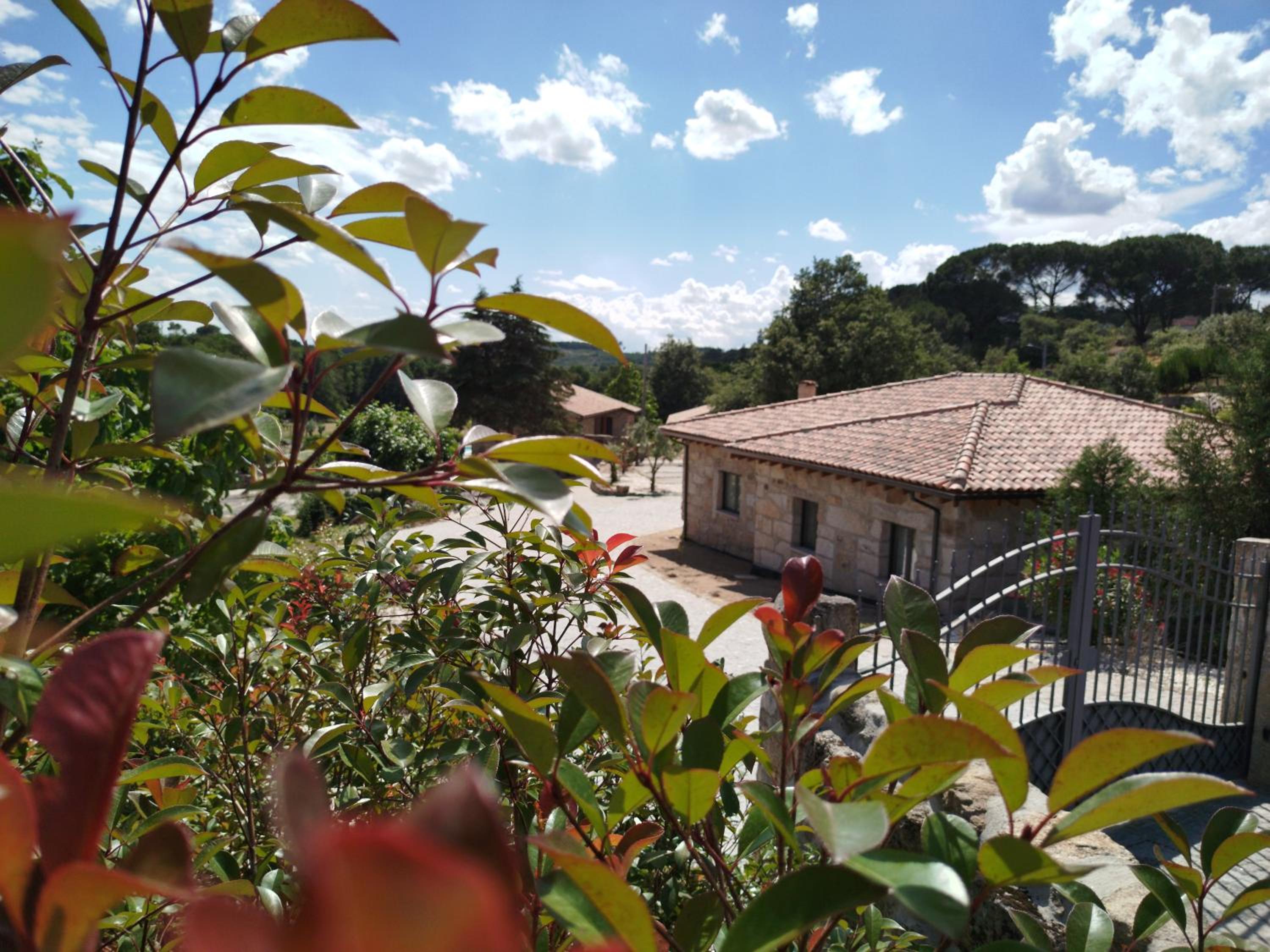 Quinta da Abadia view 5