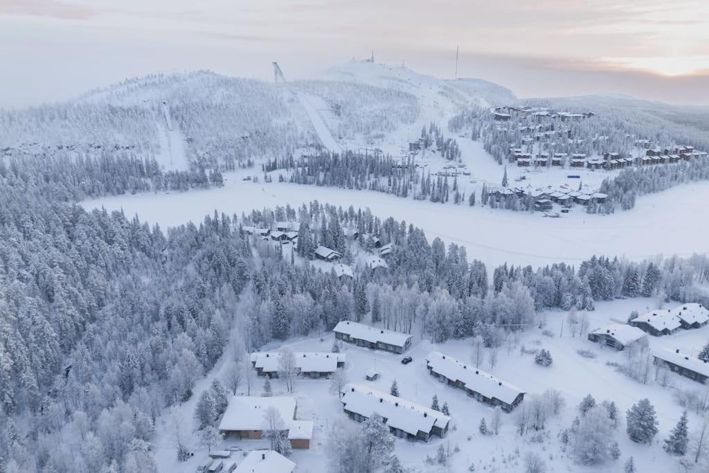 Bear Cub - Ruka Slopes, ski, hiking view 5