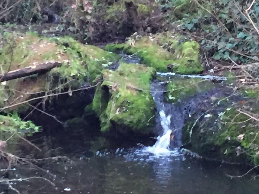 Chalet con piscina en la naturaleza