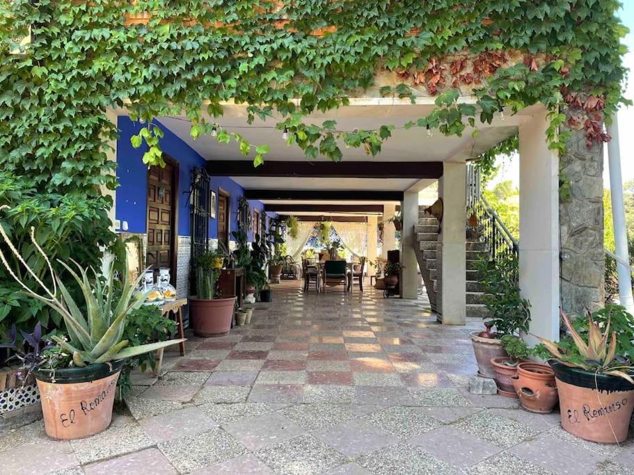 Chalet con piscina en la naturaleza